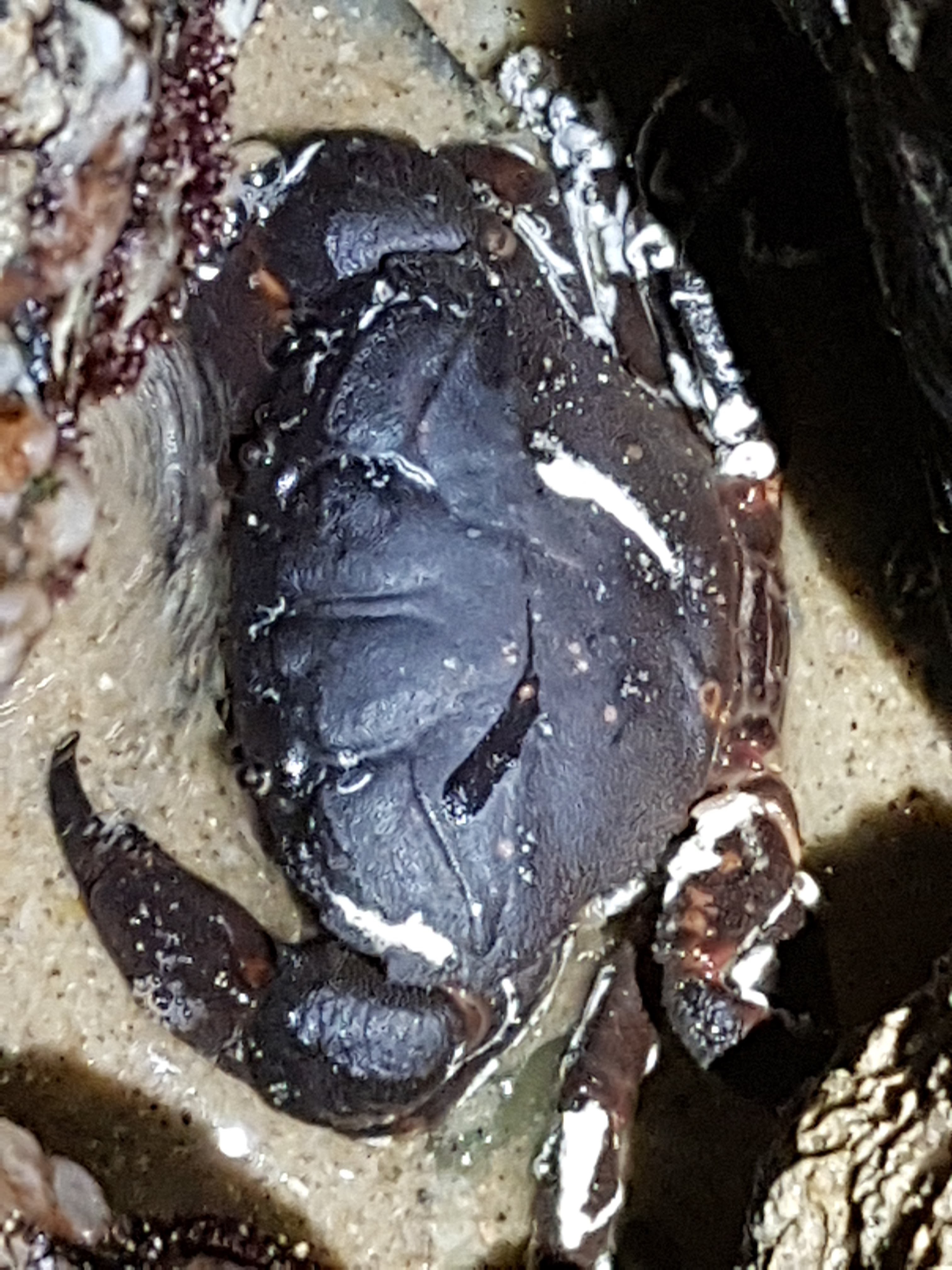 20180204_211128.jpg