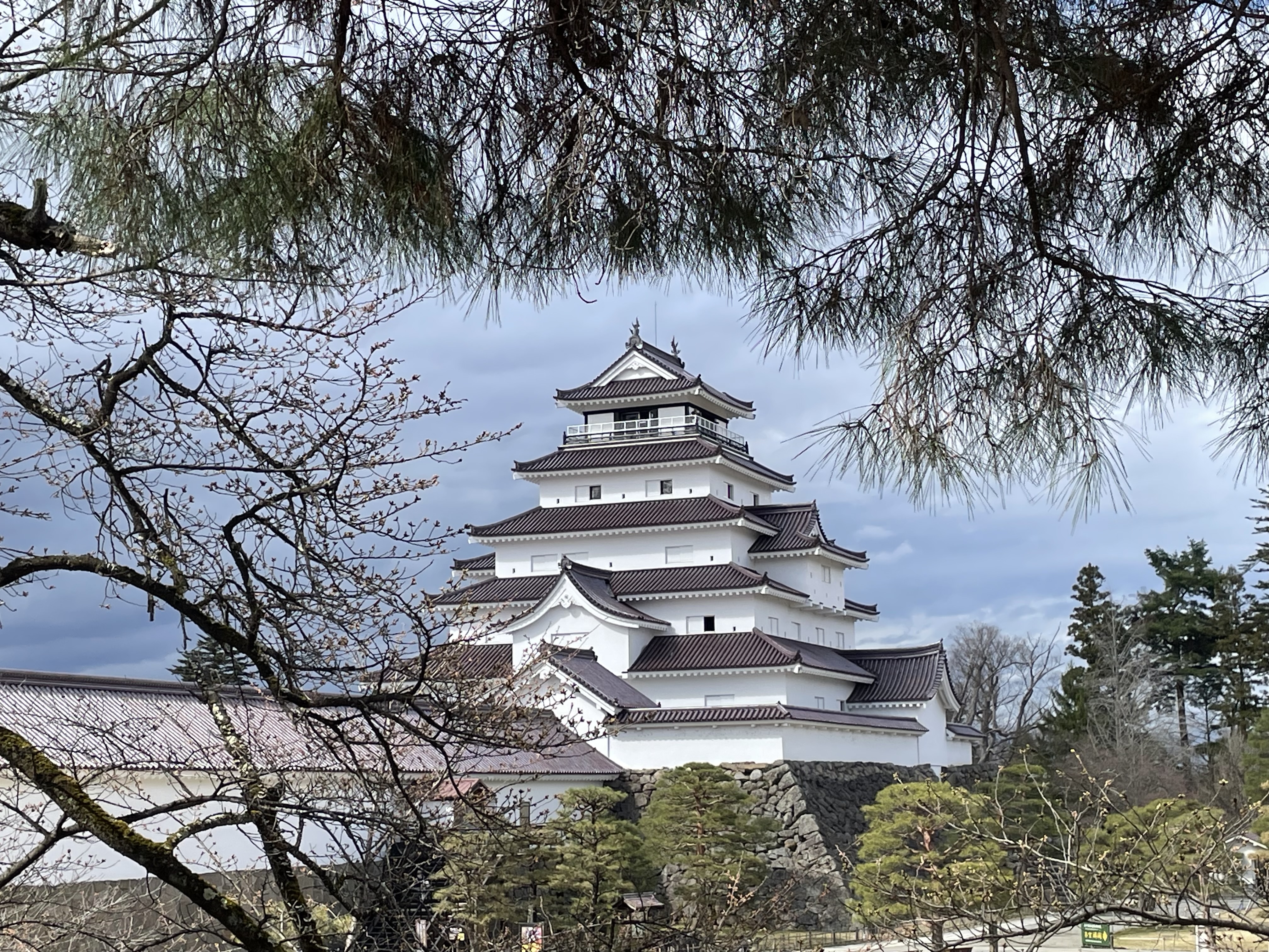 IMG_8049.jpeg