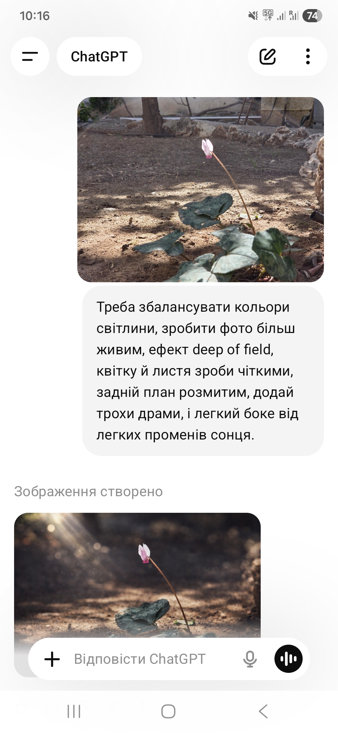 1000056072.jpg