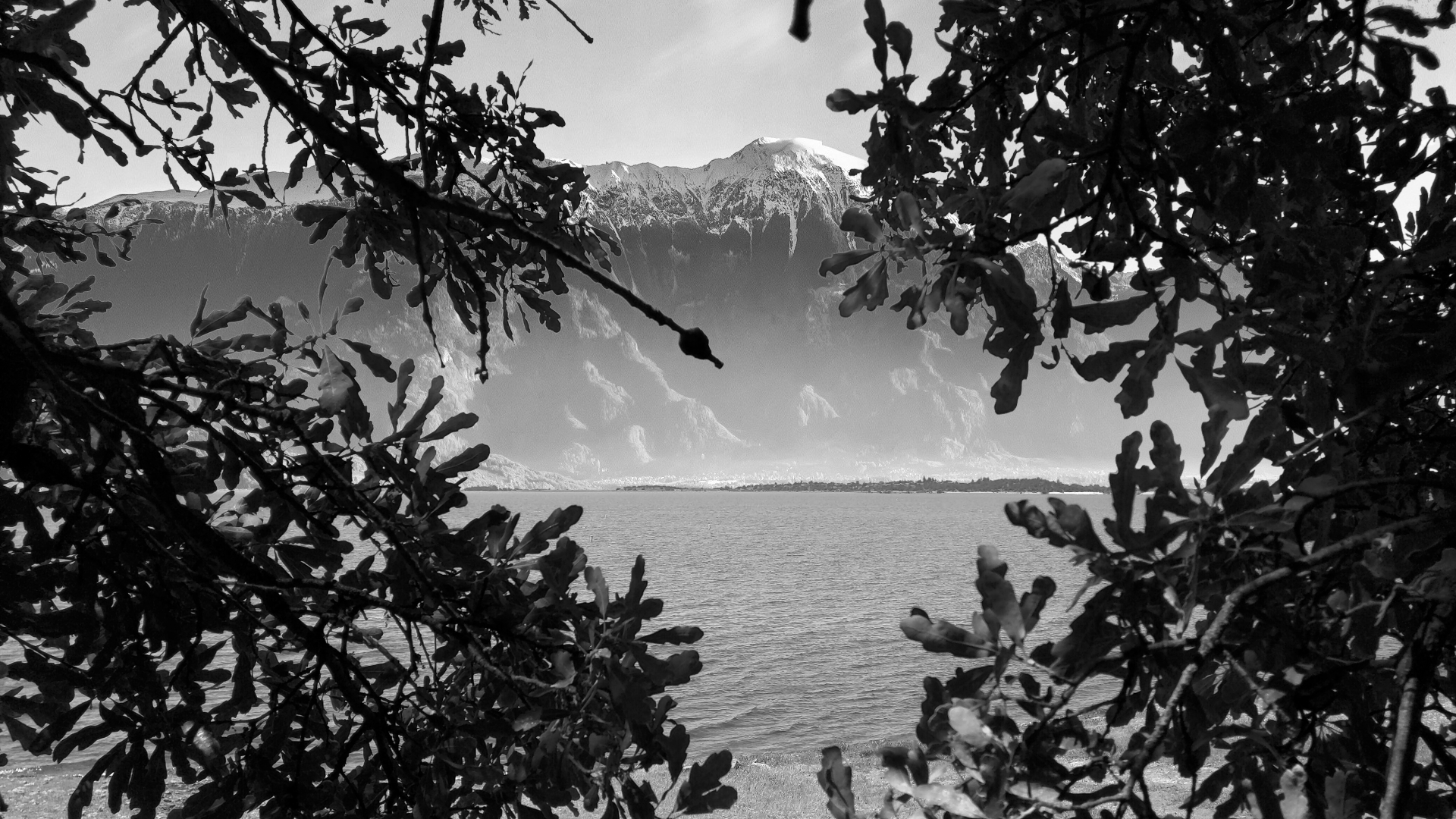 IMG_20180426_132409-bw-inspirations-thoughts-in-the-trees-#279.png