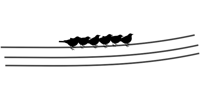 electric-lines-293964_640.png