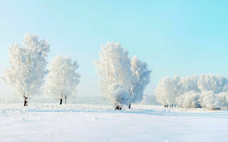 《飞鸟与夏花》每天一首自译飞鸟集（277-278/325） - Translate a poem from Stray Birds every day