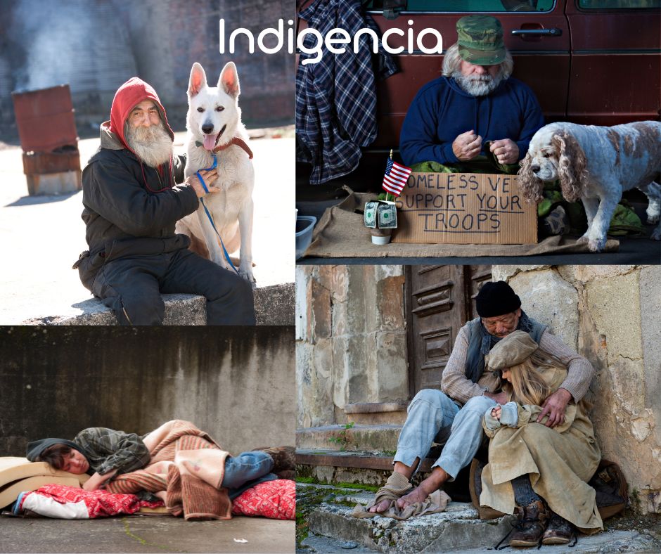 Añadir un título (5).jpg