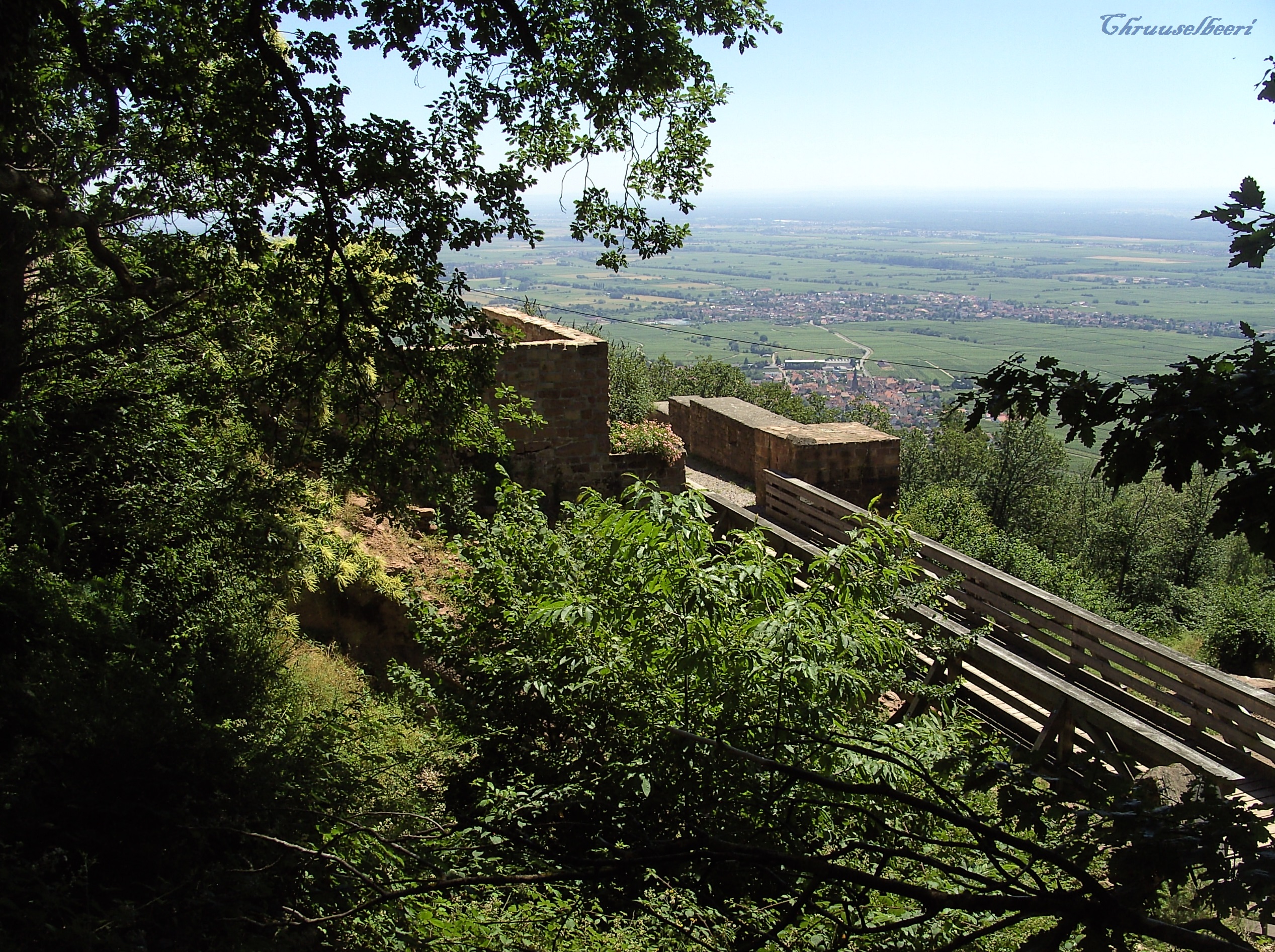 Rietburg_08.jpg