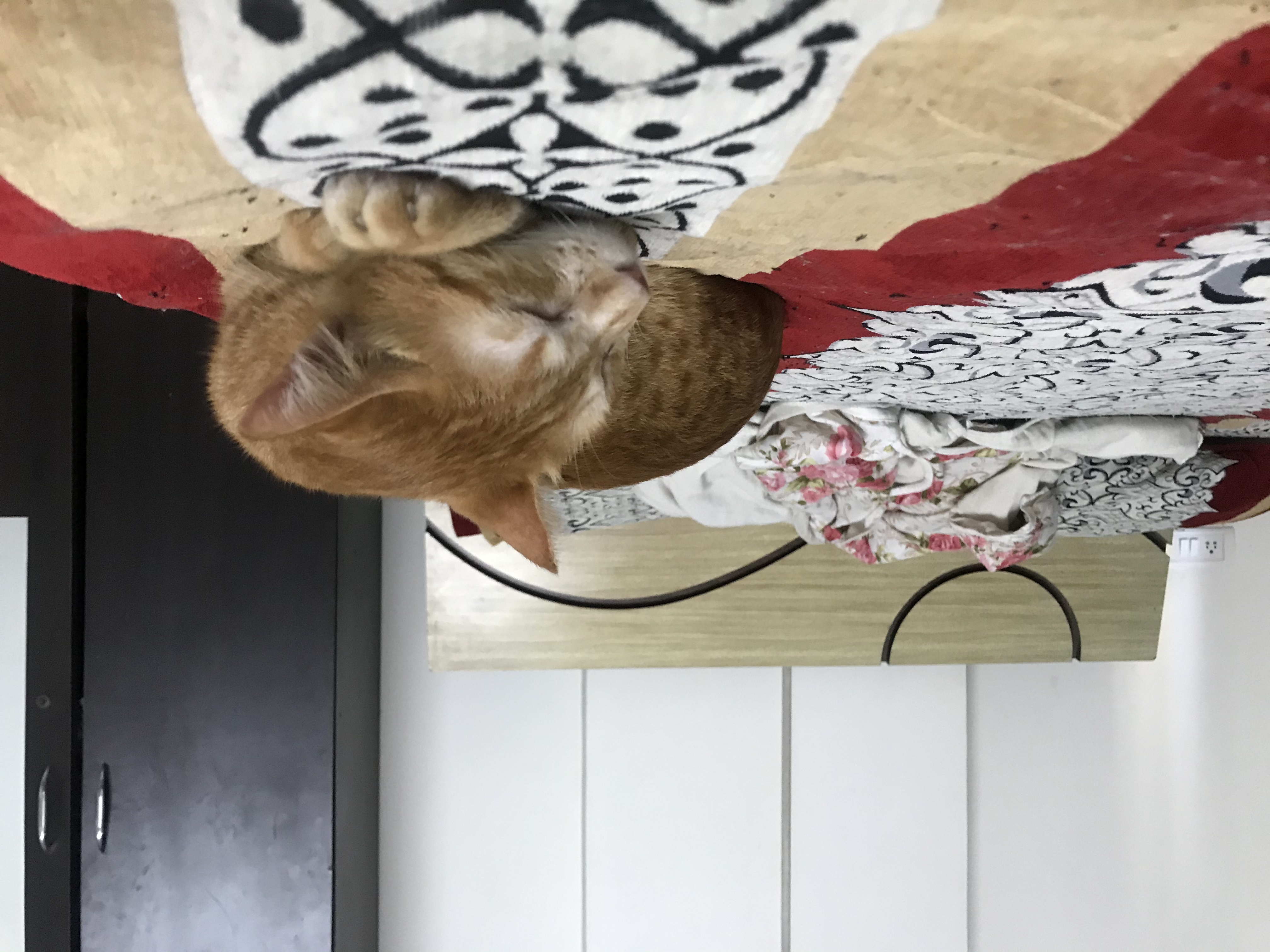 DB44DA7A-65B7-420C-8219-6FD56601671C.jpeg