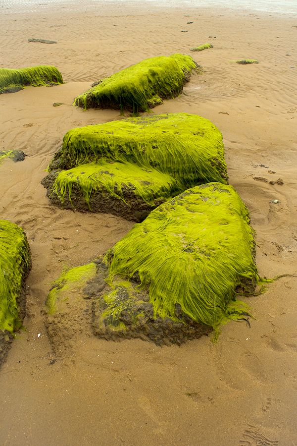 dornoch6.png