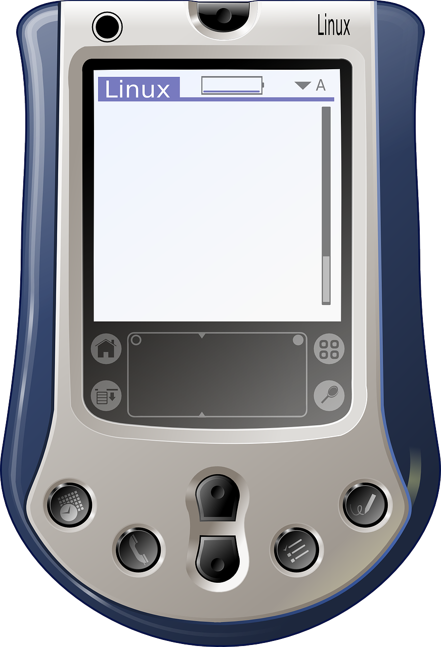 palm-155529_1280.png