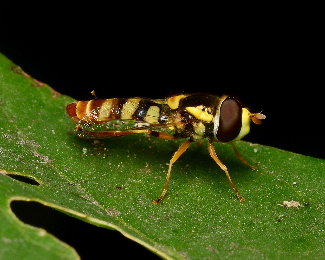 DSC_8173.jpg