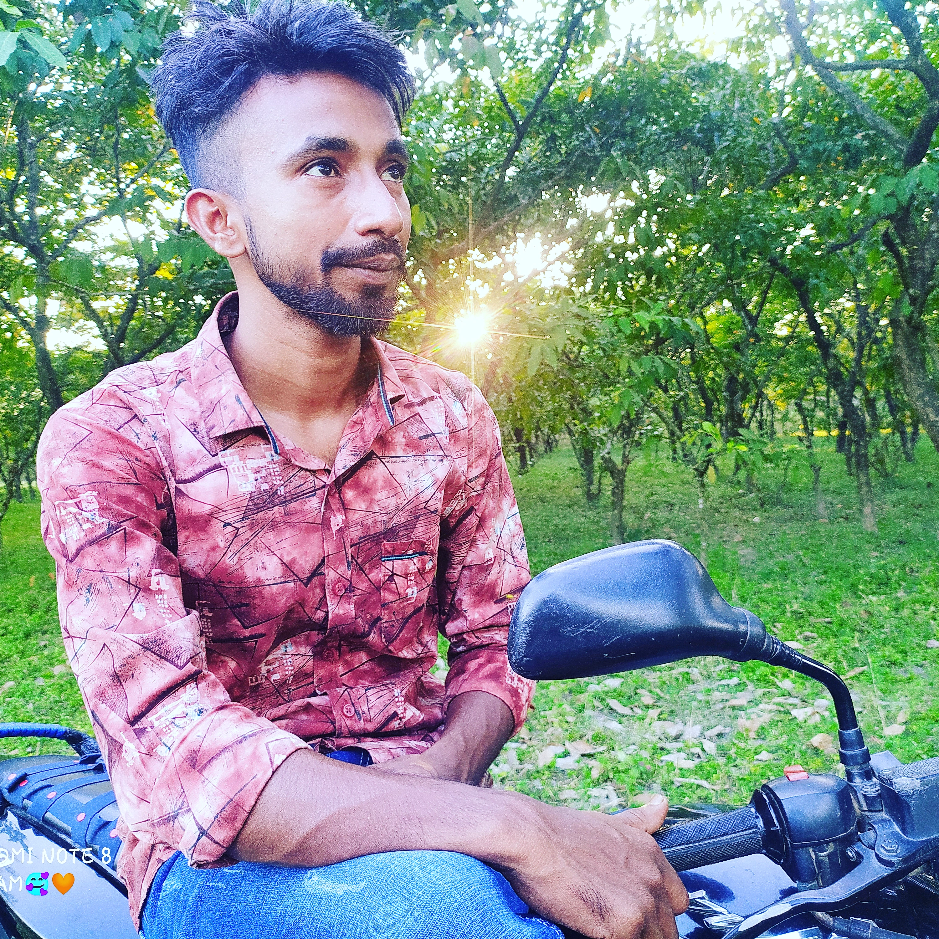 1643388621072.webp