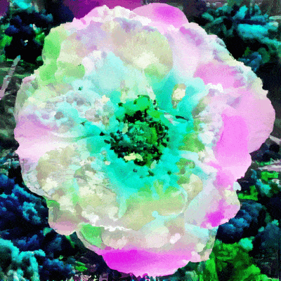 https___ipfs.pixura (16).gif