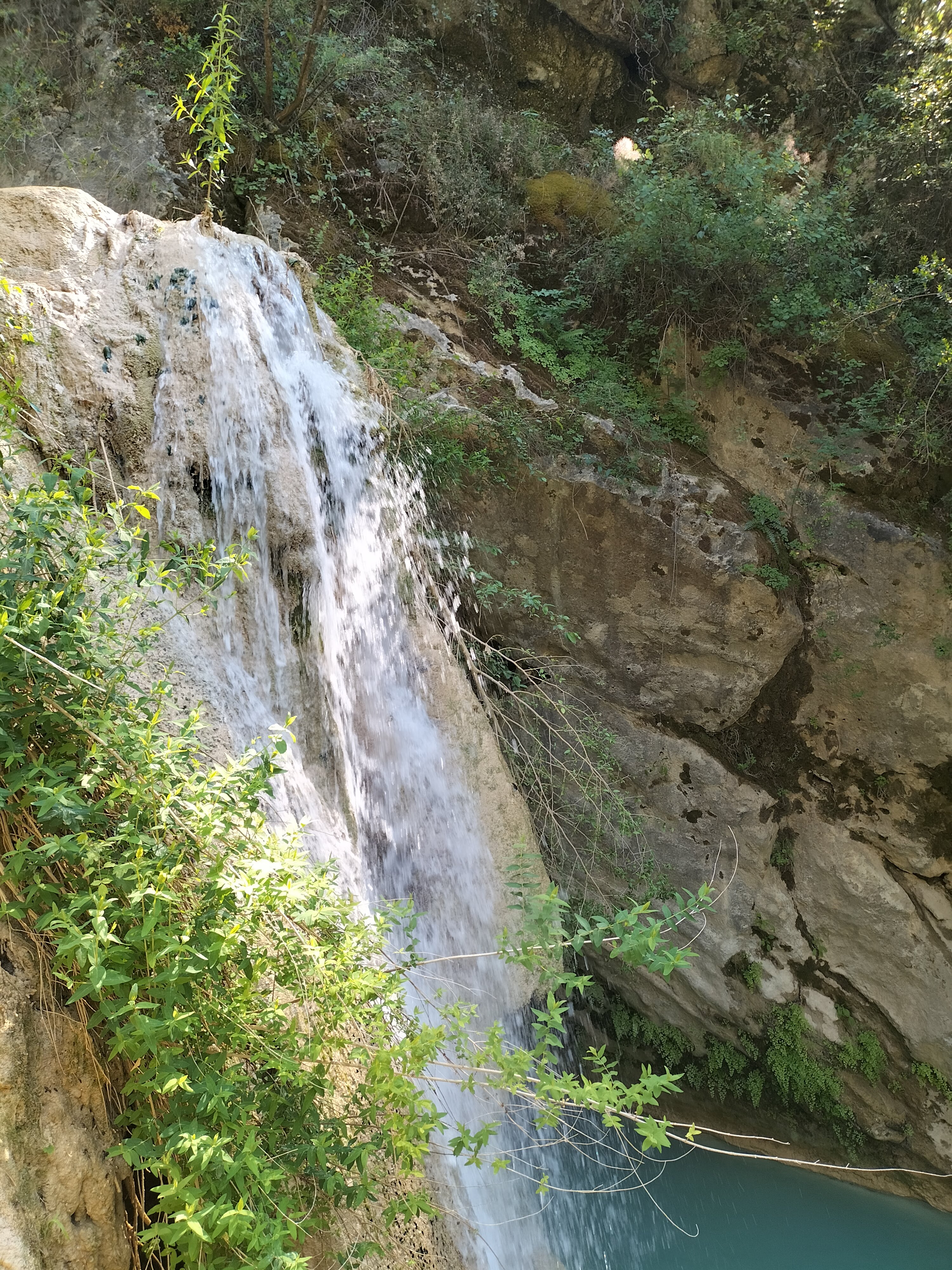IMG20220520153153.jpg
