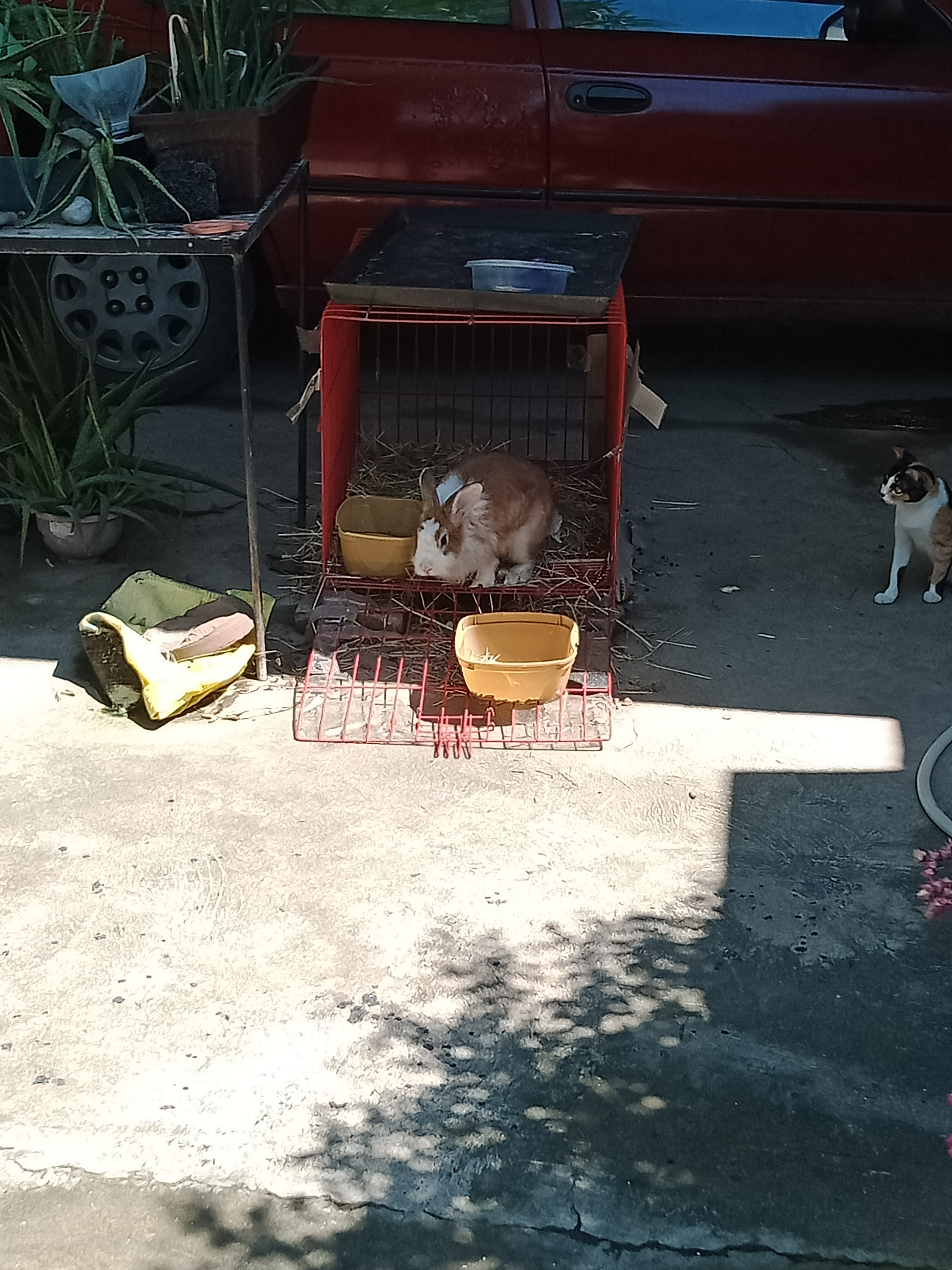 IMG20210528133307.jpg