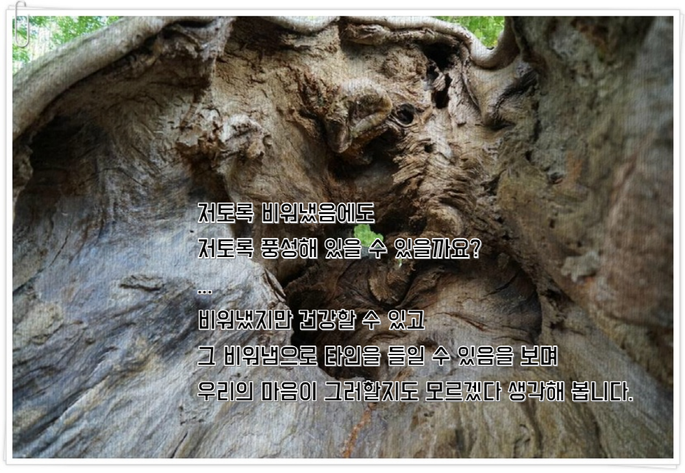 베스트 문장 13 (9).png