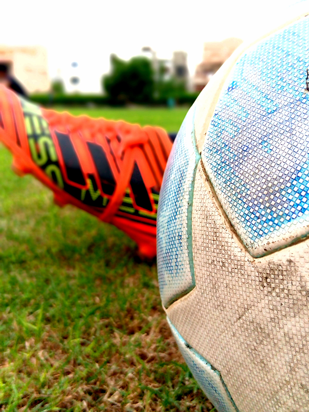 IMG_20200831_182939_169_1598918159415.jpg