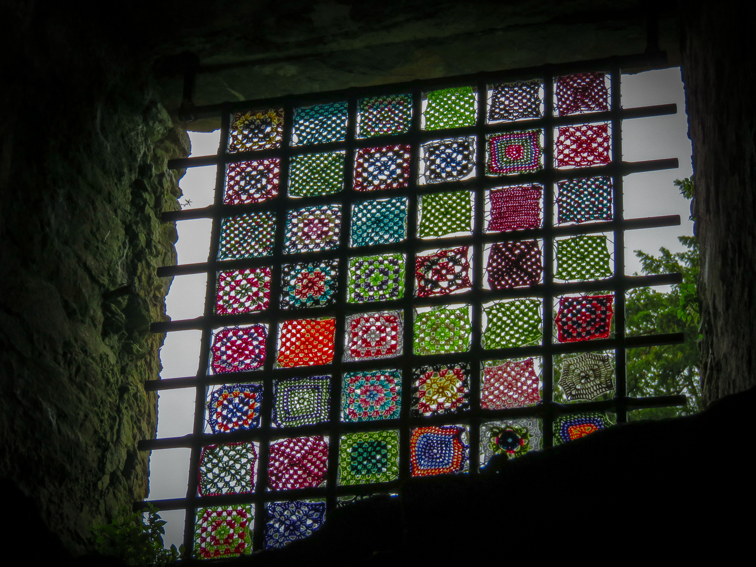 IMG_2346 (1).jpg