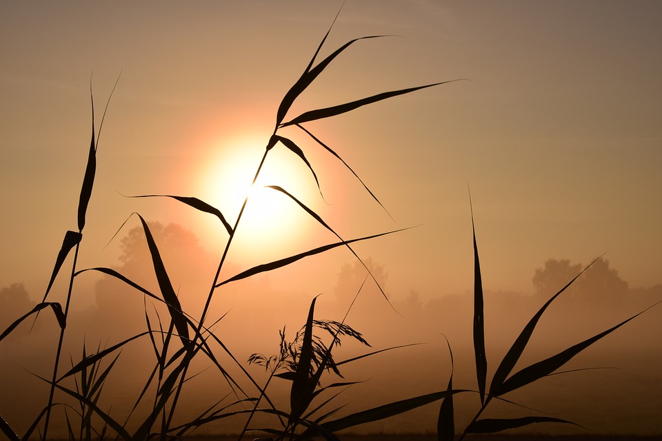 sunrise-1688094_960_720.jpg