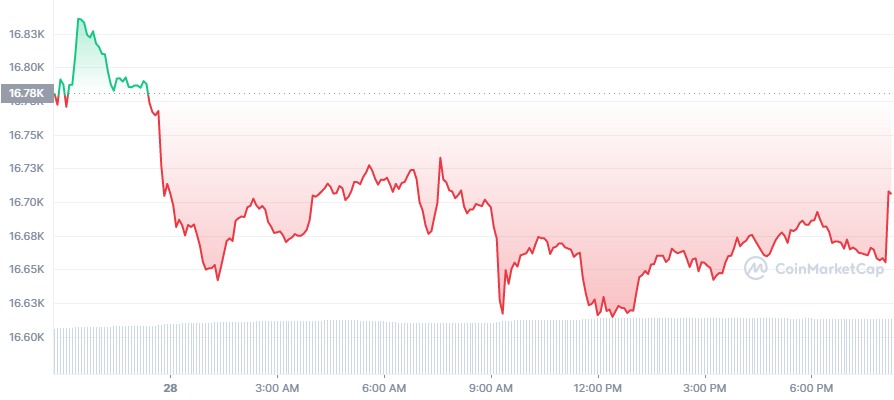 BTC_1D_graph_coinmarketcap (3).jpg