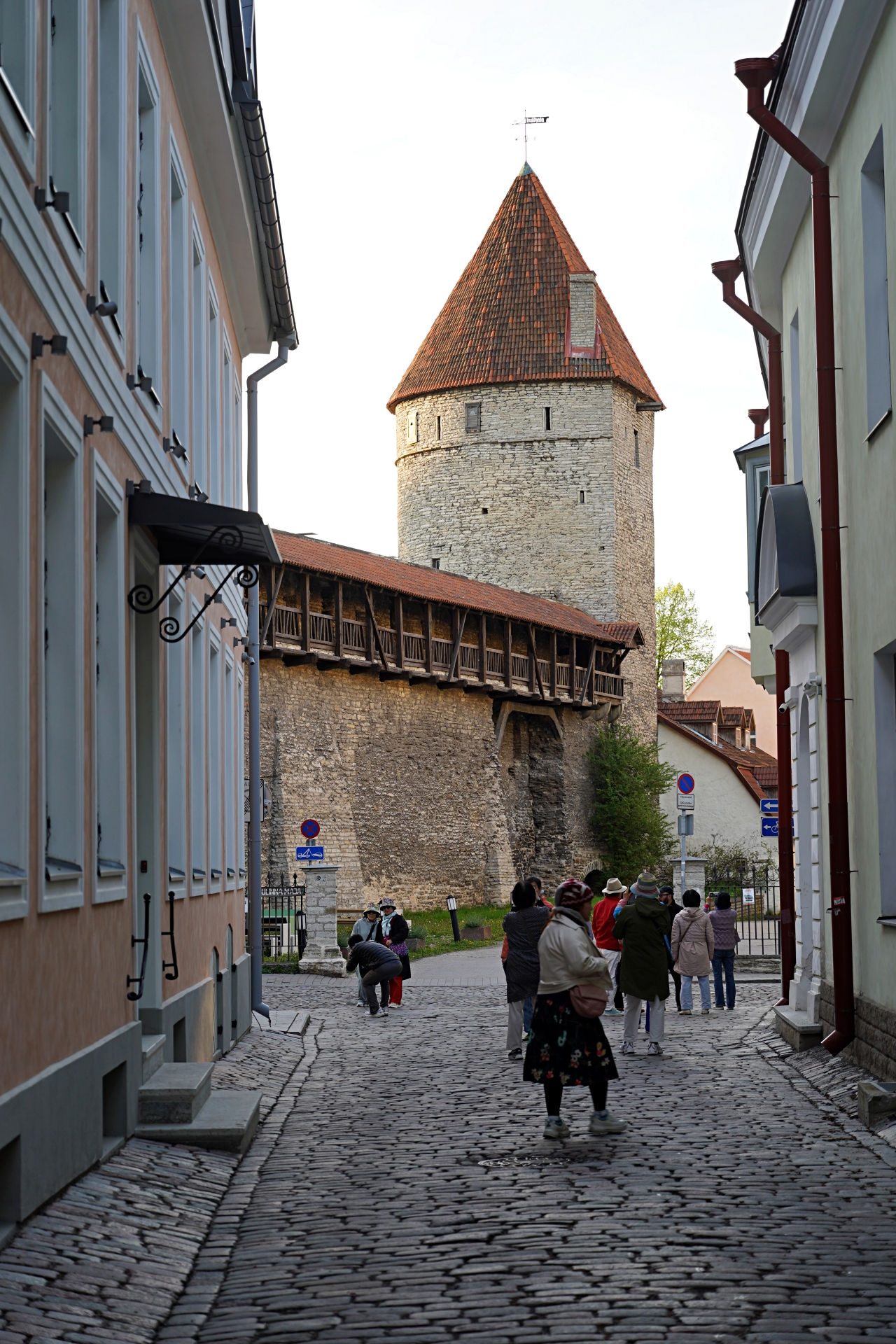 b-S260520-184416.jpg