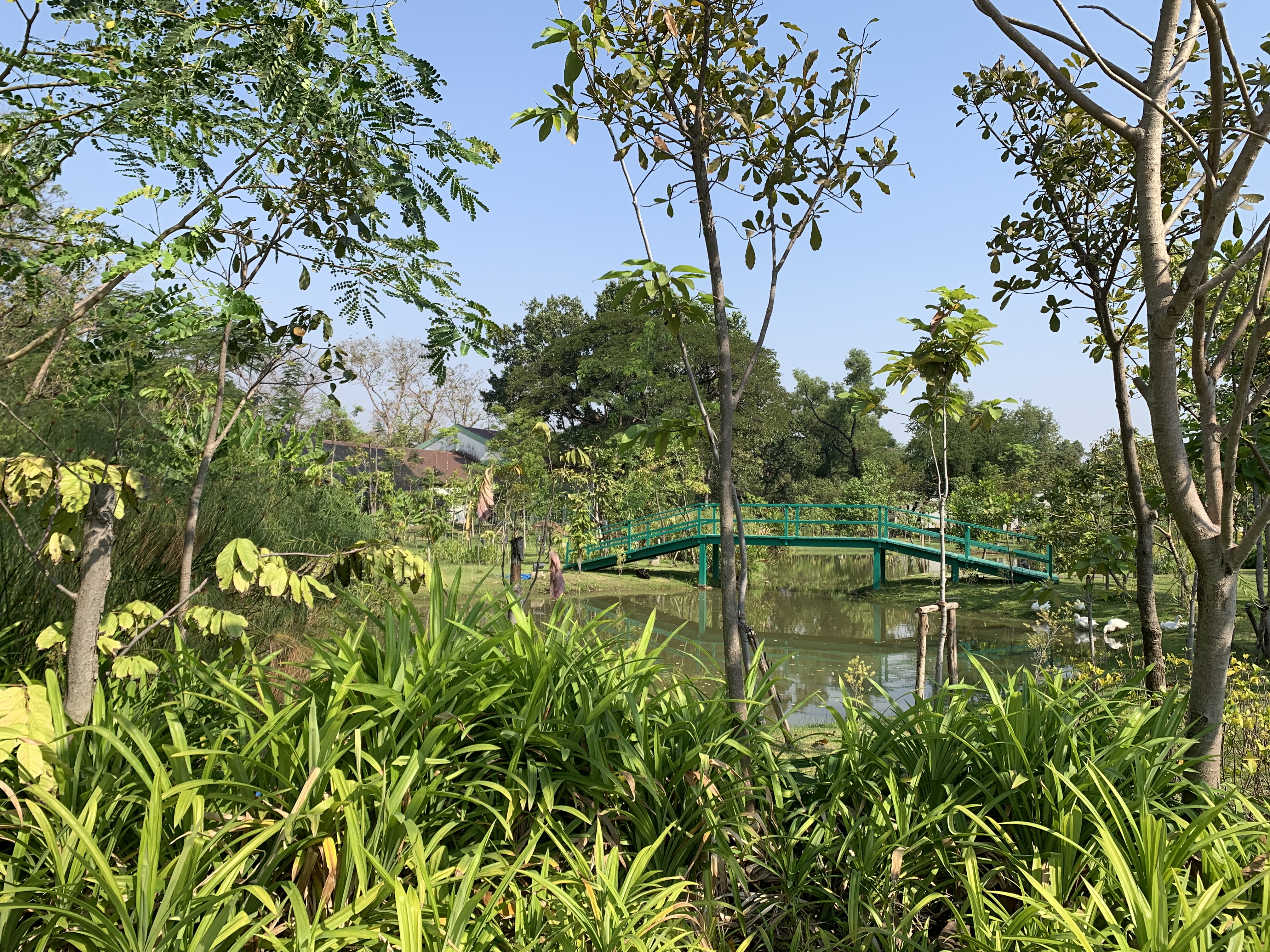 Queen Sirikit Park100.jpg