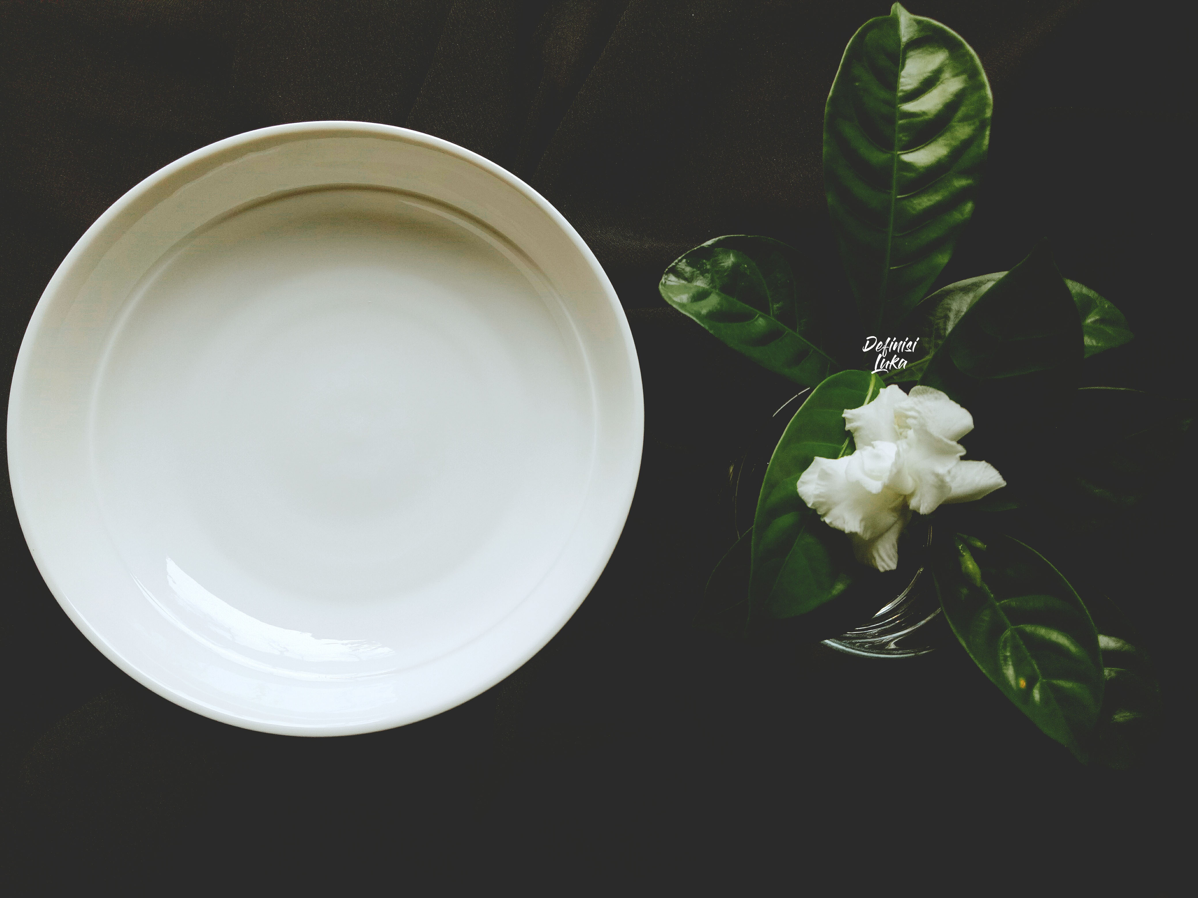 Plate.jpg