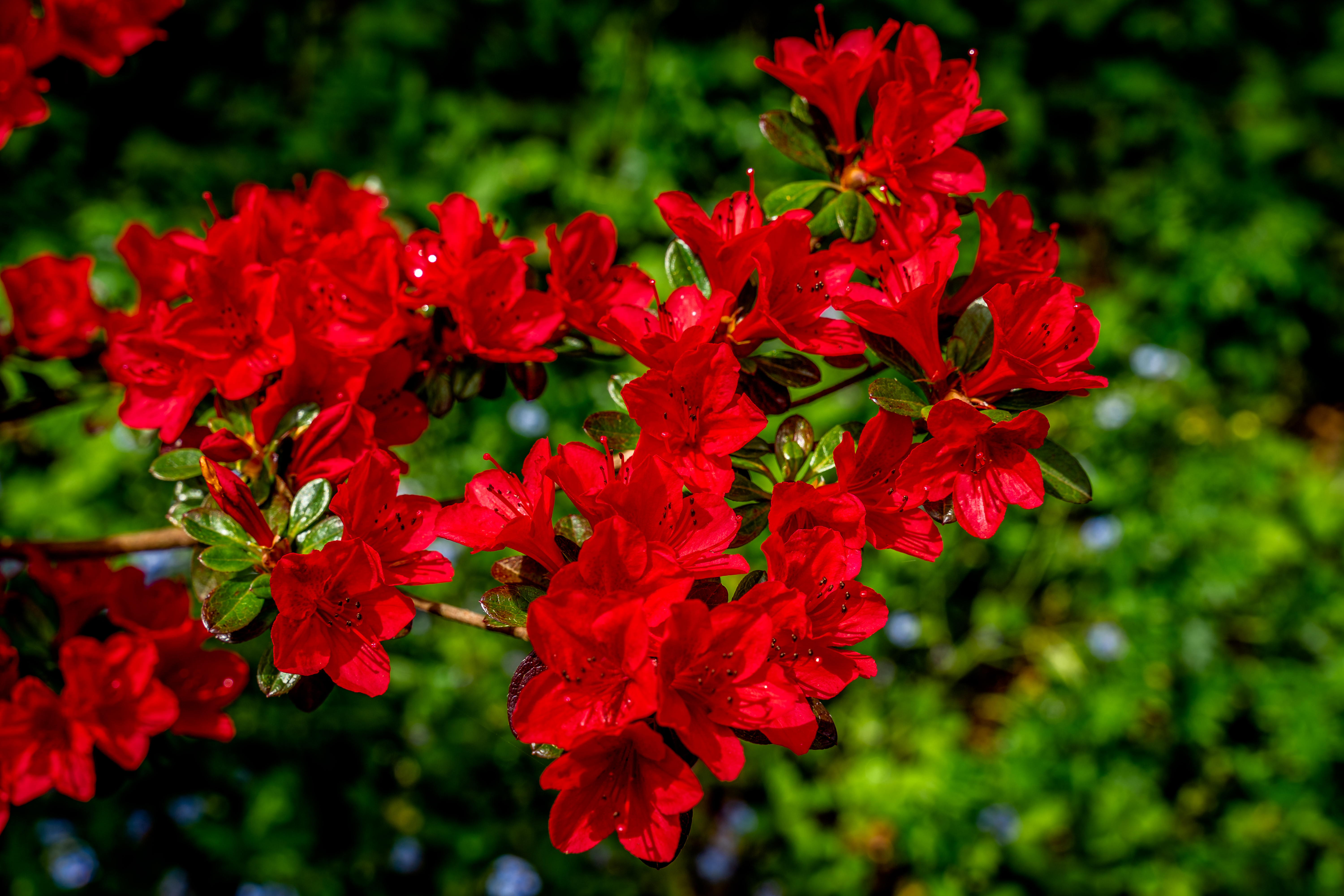 _DSC2998-Edit.jpg