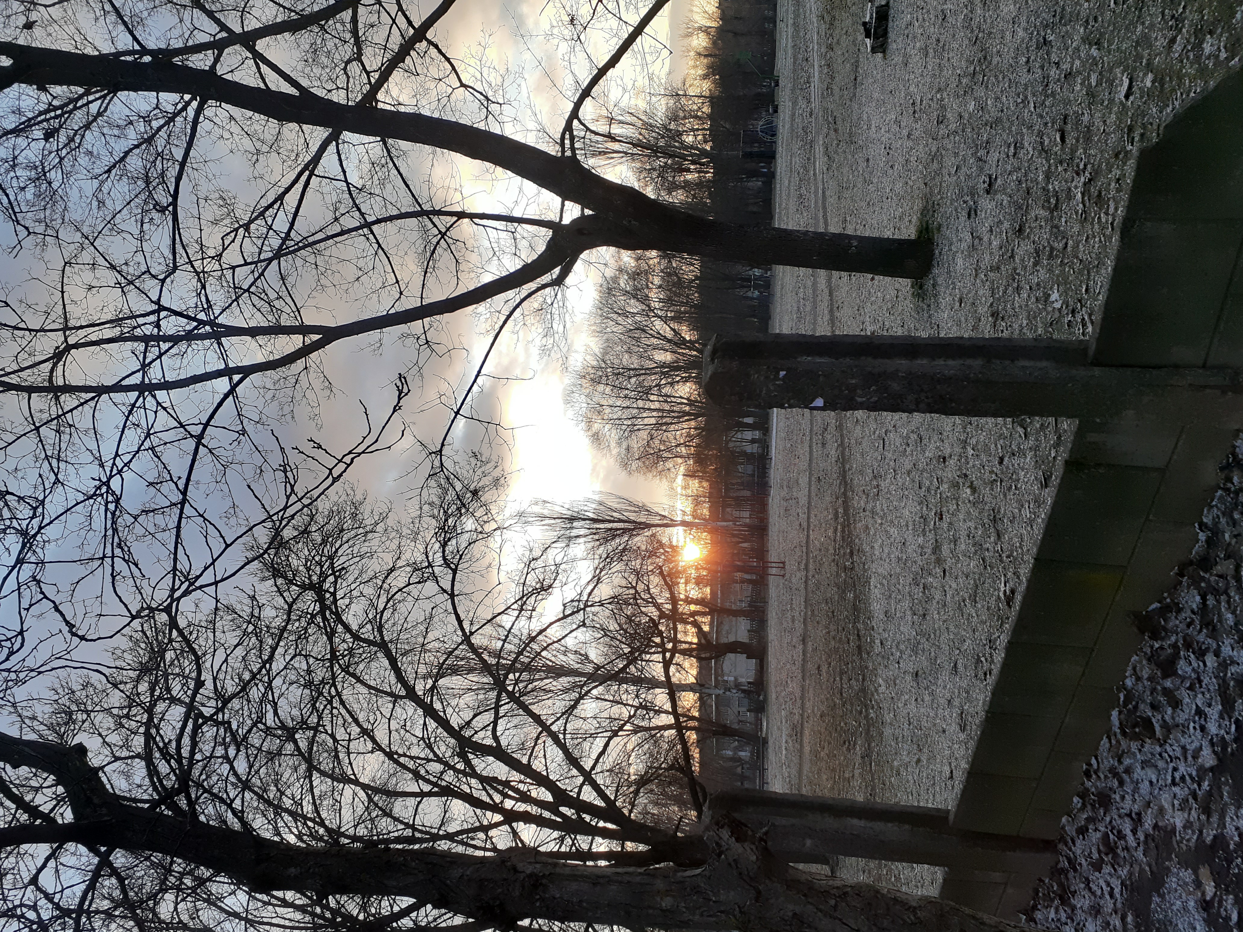 20250204_073500.jpg
