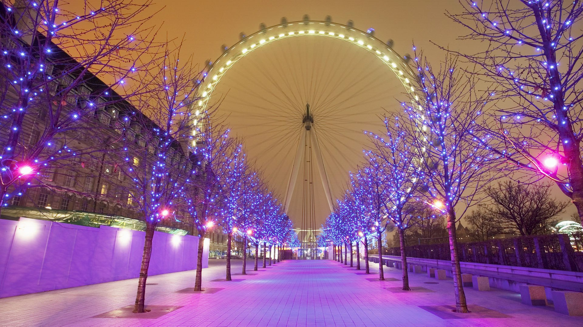 《飞鸟与夏花》每天一首自译飞鸟集（182/325） - Translate a poem form Stray Birds everyday