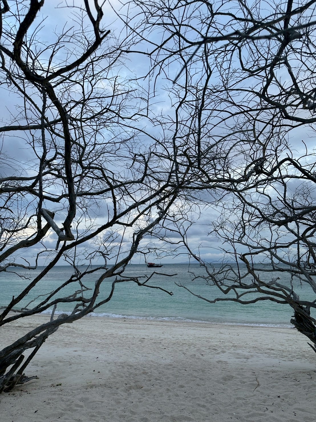 Koh Tao8.jpg