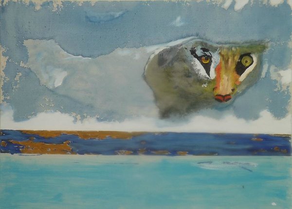 wild-life-in-the-clouds-denise-morgan.jpg