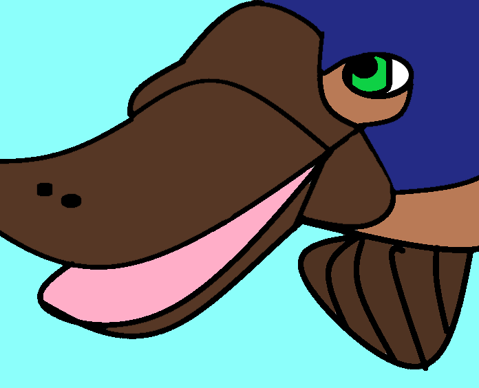 platypusthing