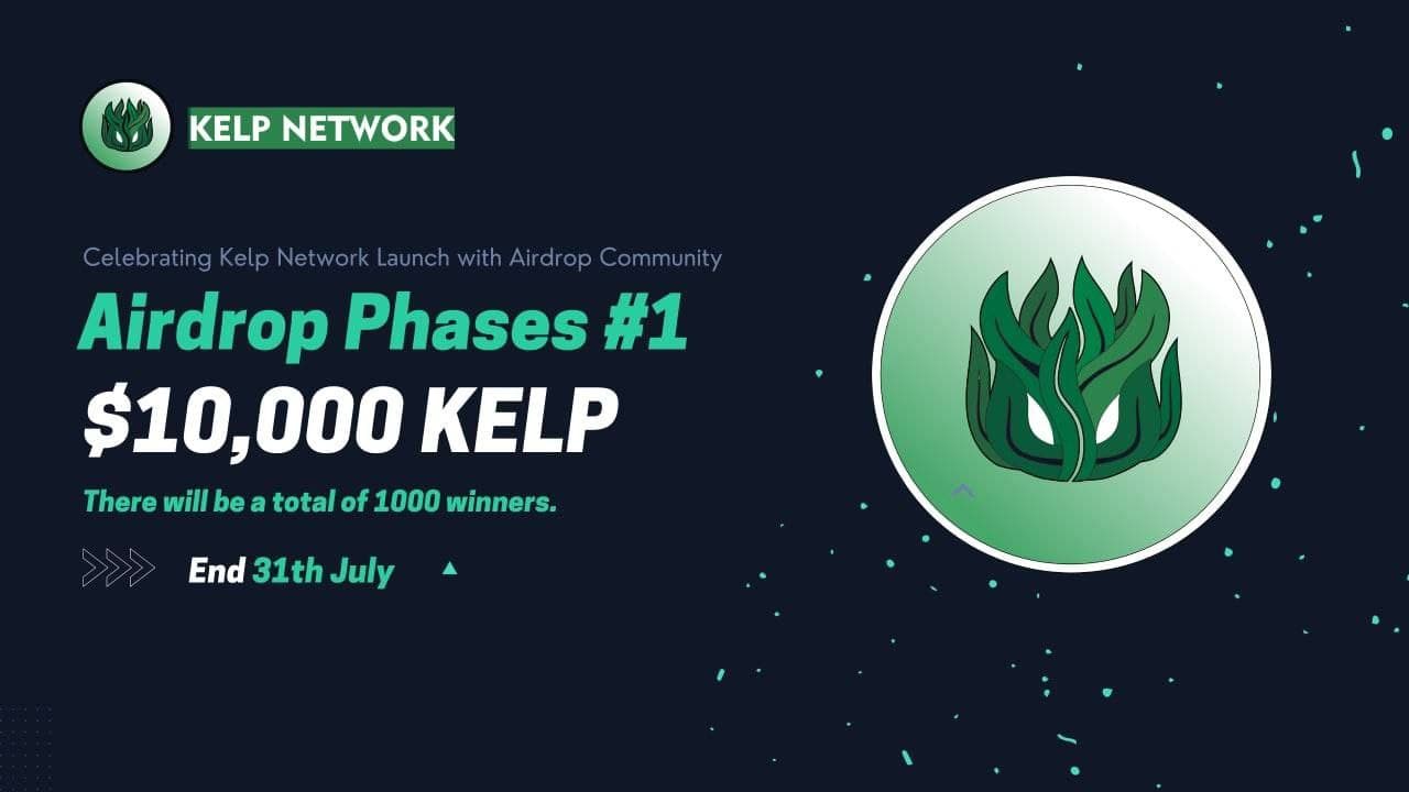 kelp network.jpg