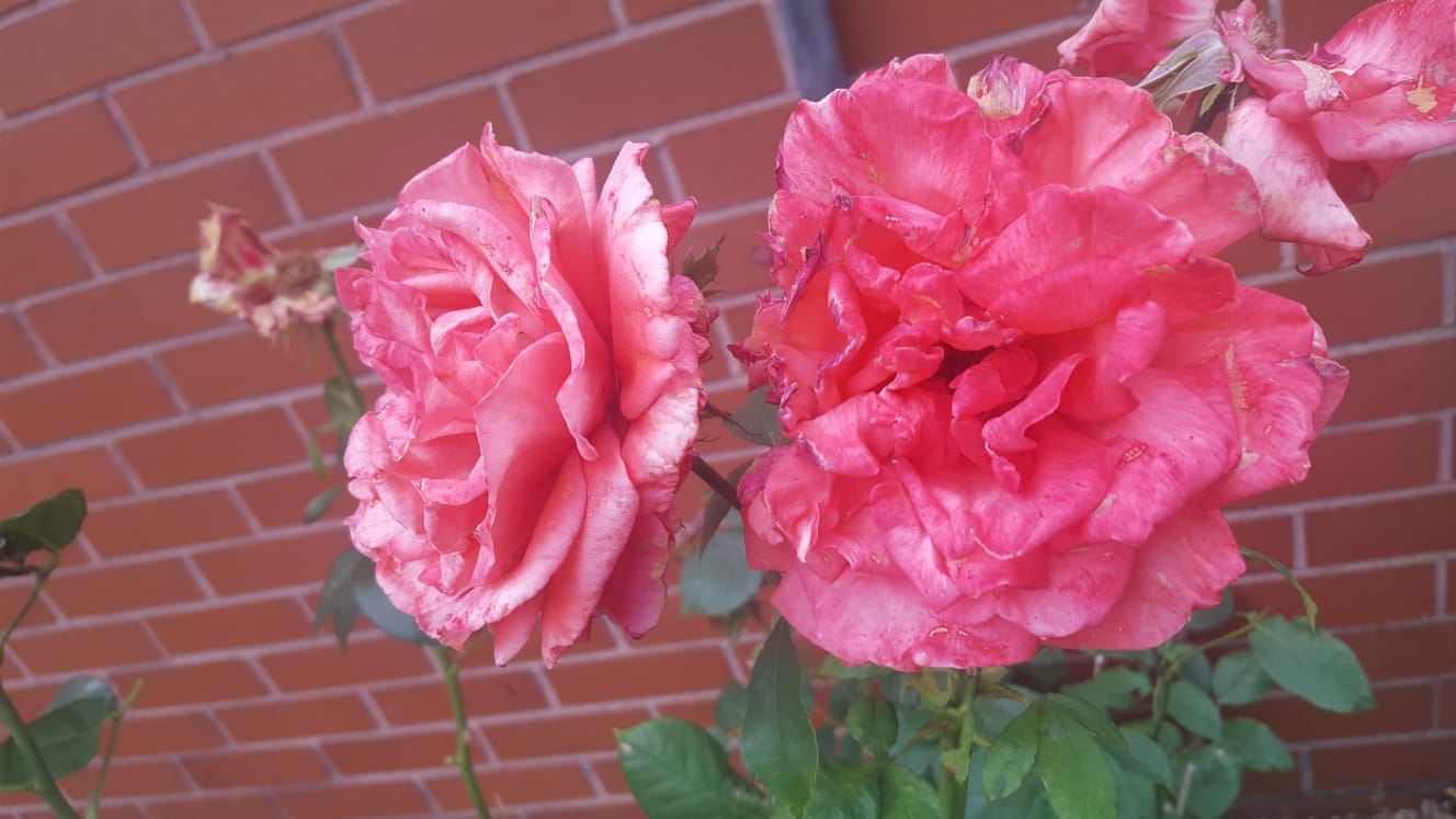 IMG-20180722-WA0001.jpg