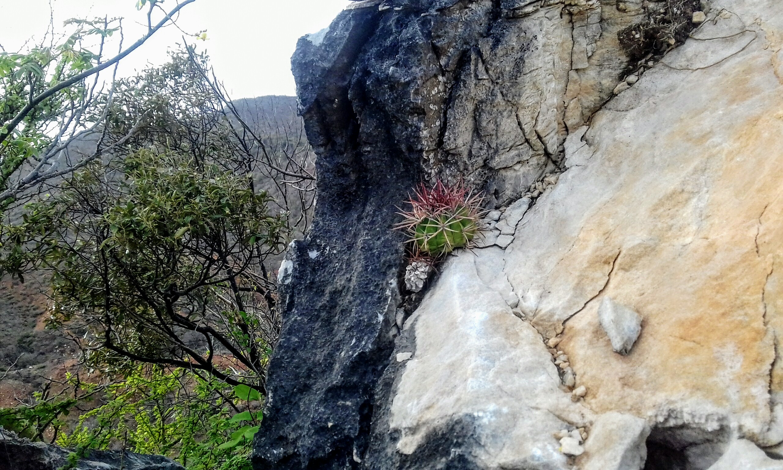 20200704_170944.jpg