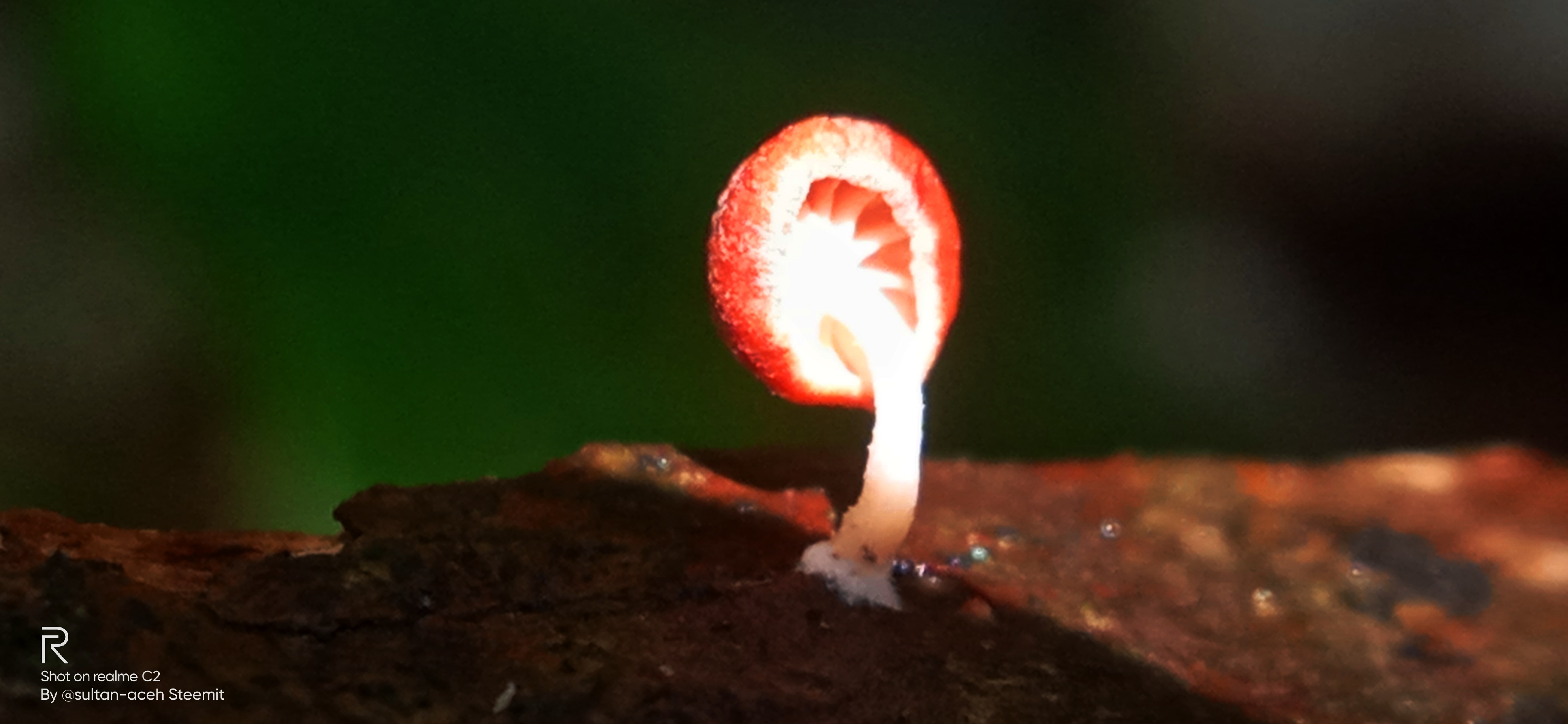 IMG20211201121514.jpg