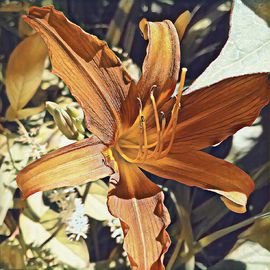 PicsArt_07-01-11.20.13.jpg