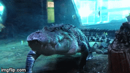 pinjarra (2).gif