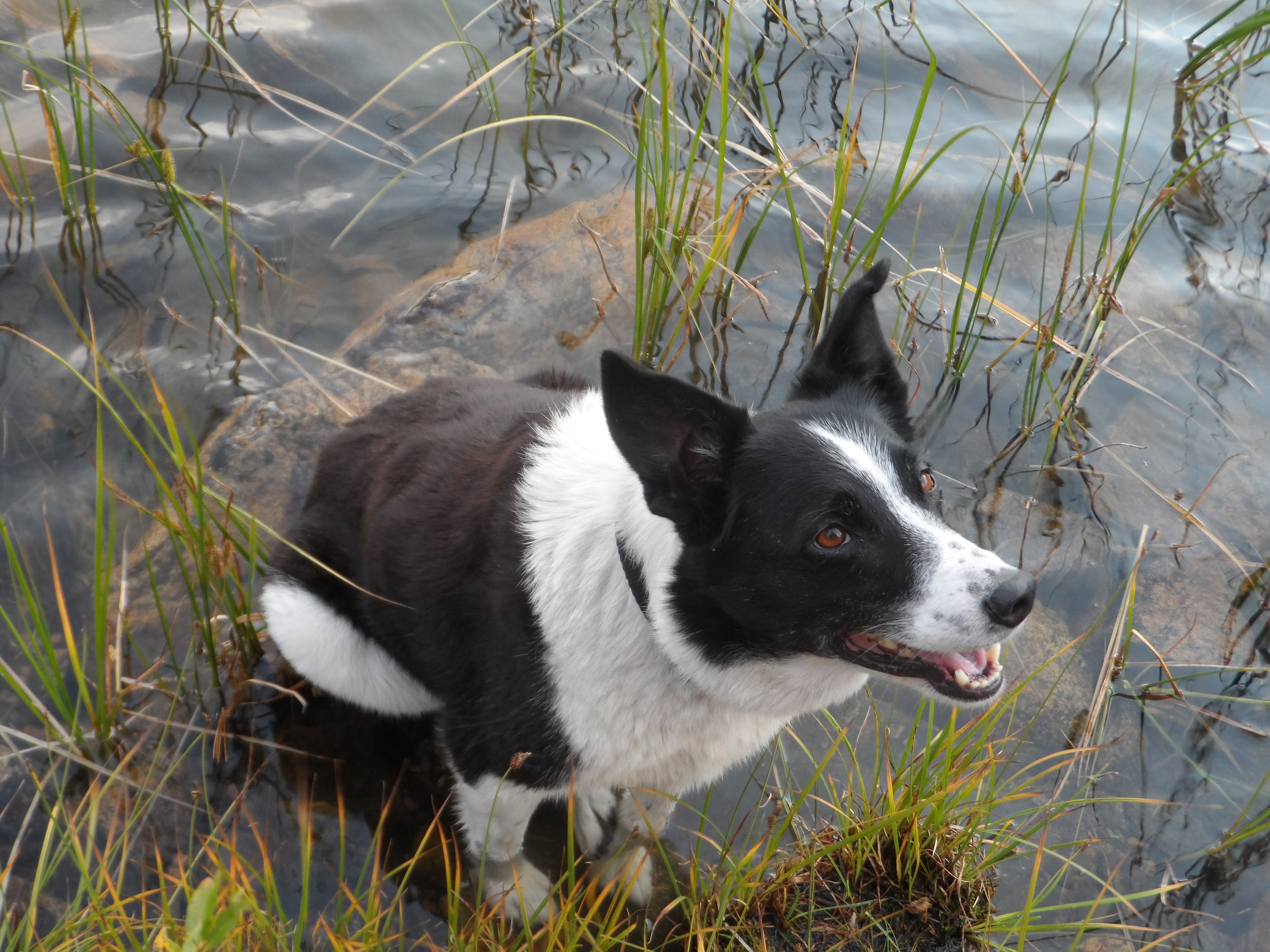 Изображение профиля