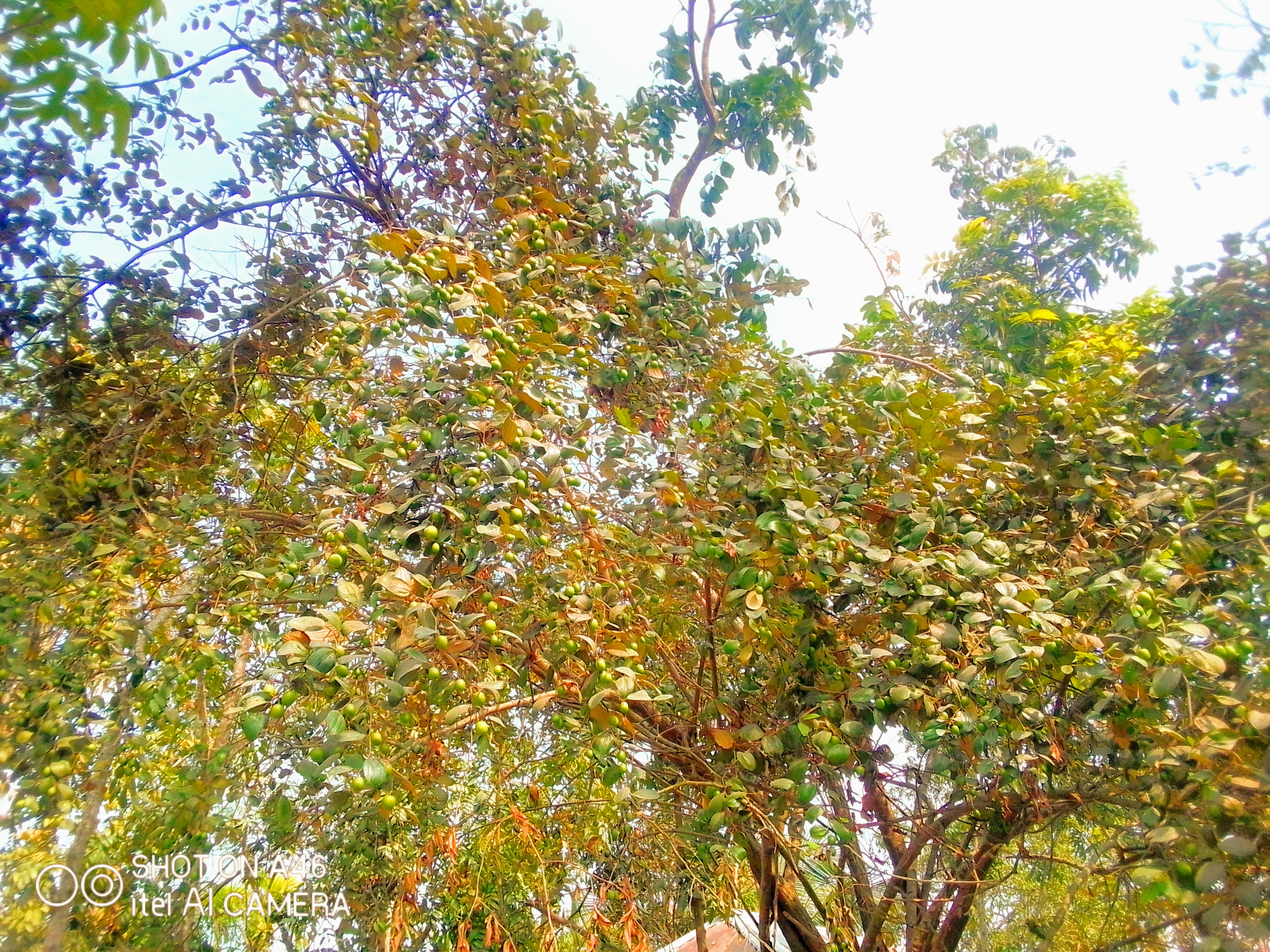 1610607648372.png