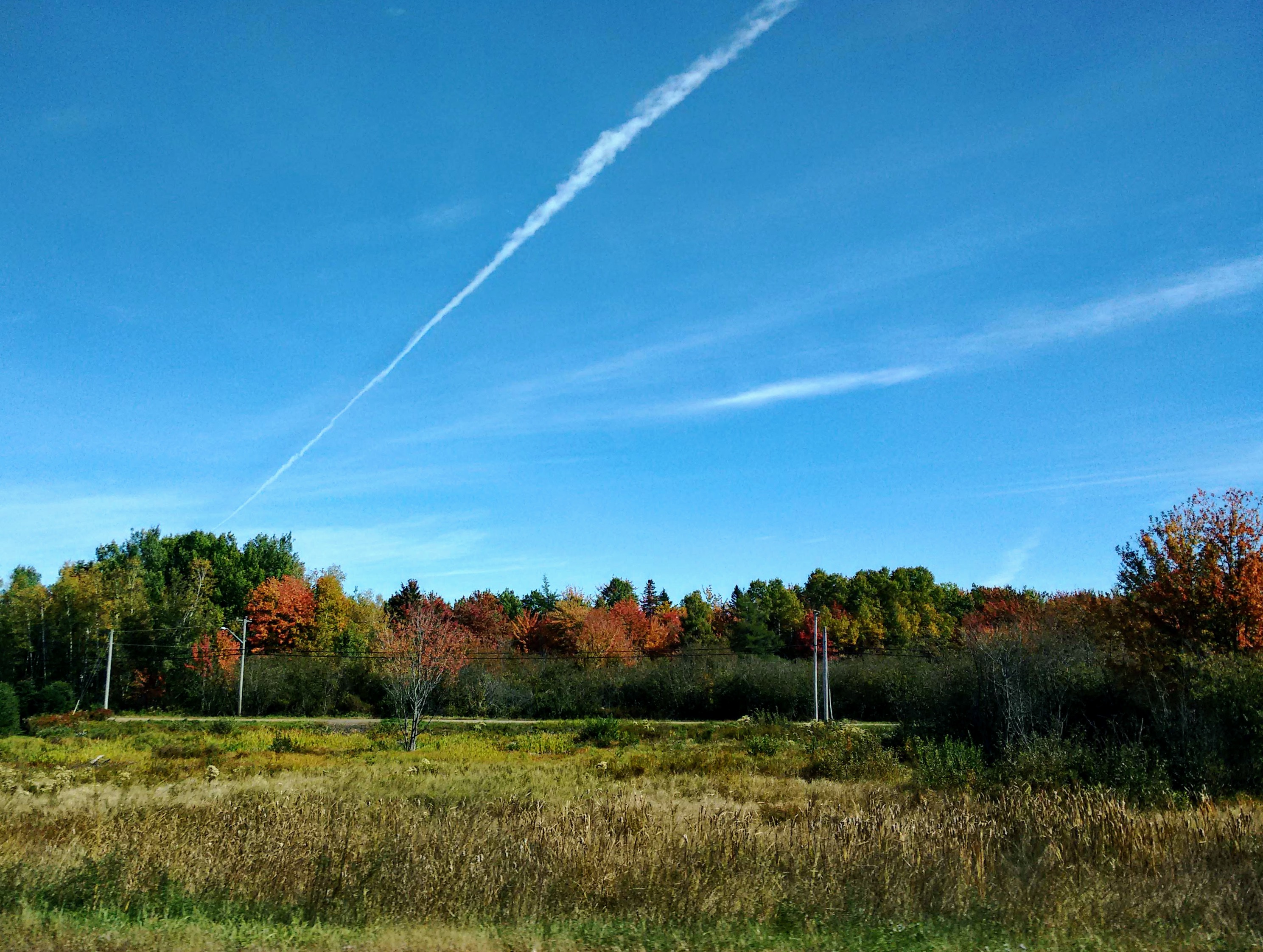 509B5233-A9EE-459B-9F4D-4812021809F1.jpeg