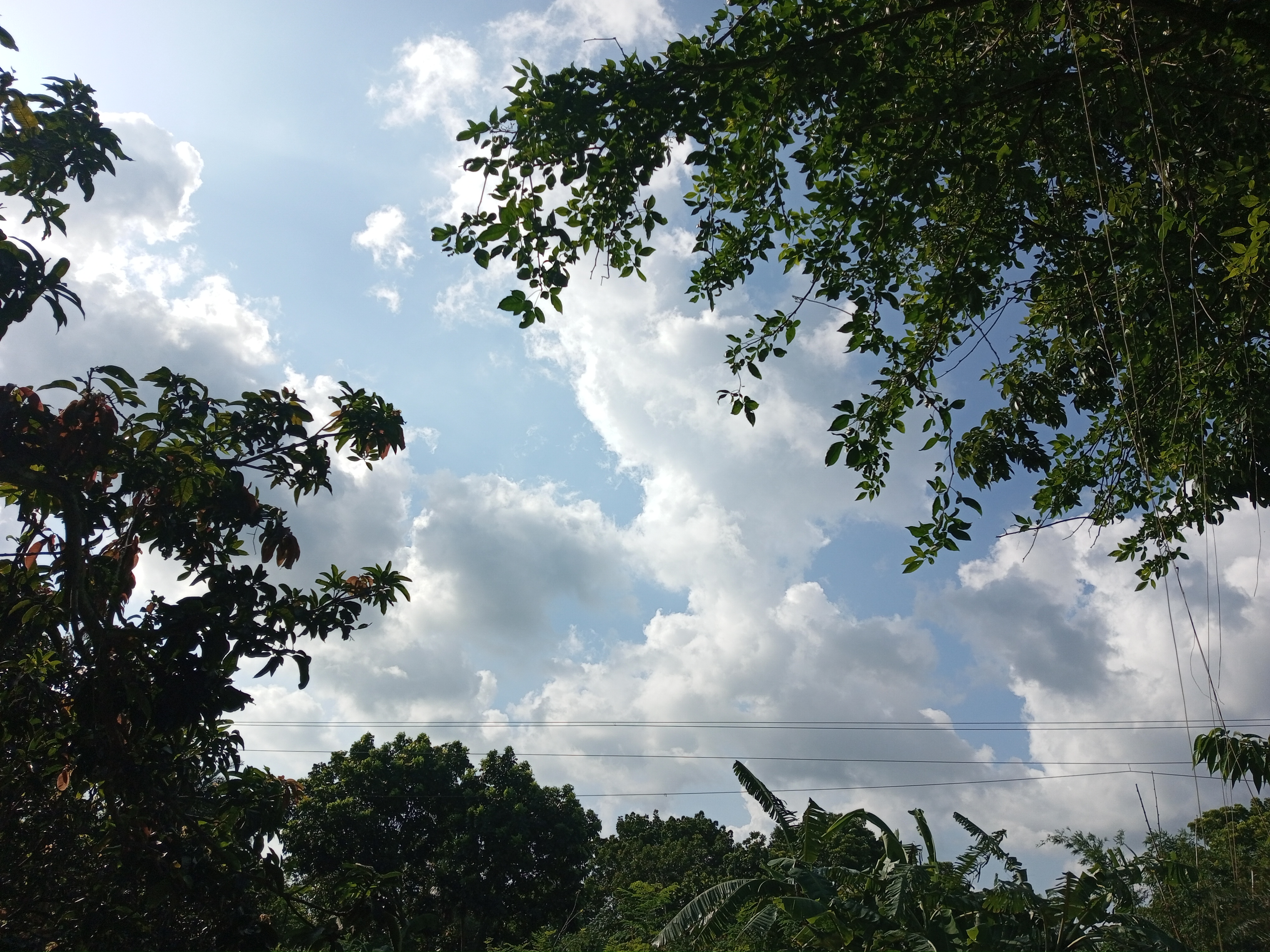 IMG_20230623_160600_542.jpg
