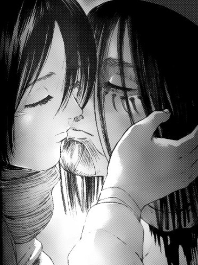 mikasaxeren1.jpg_311268984.jpg