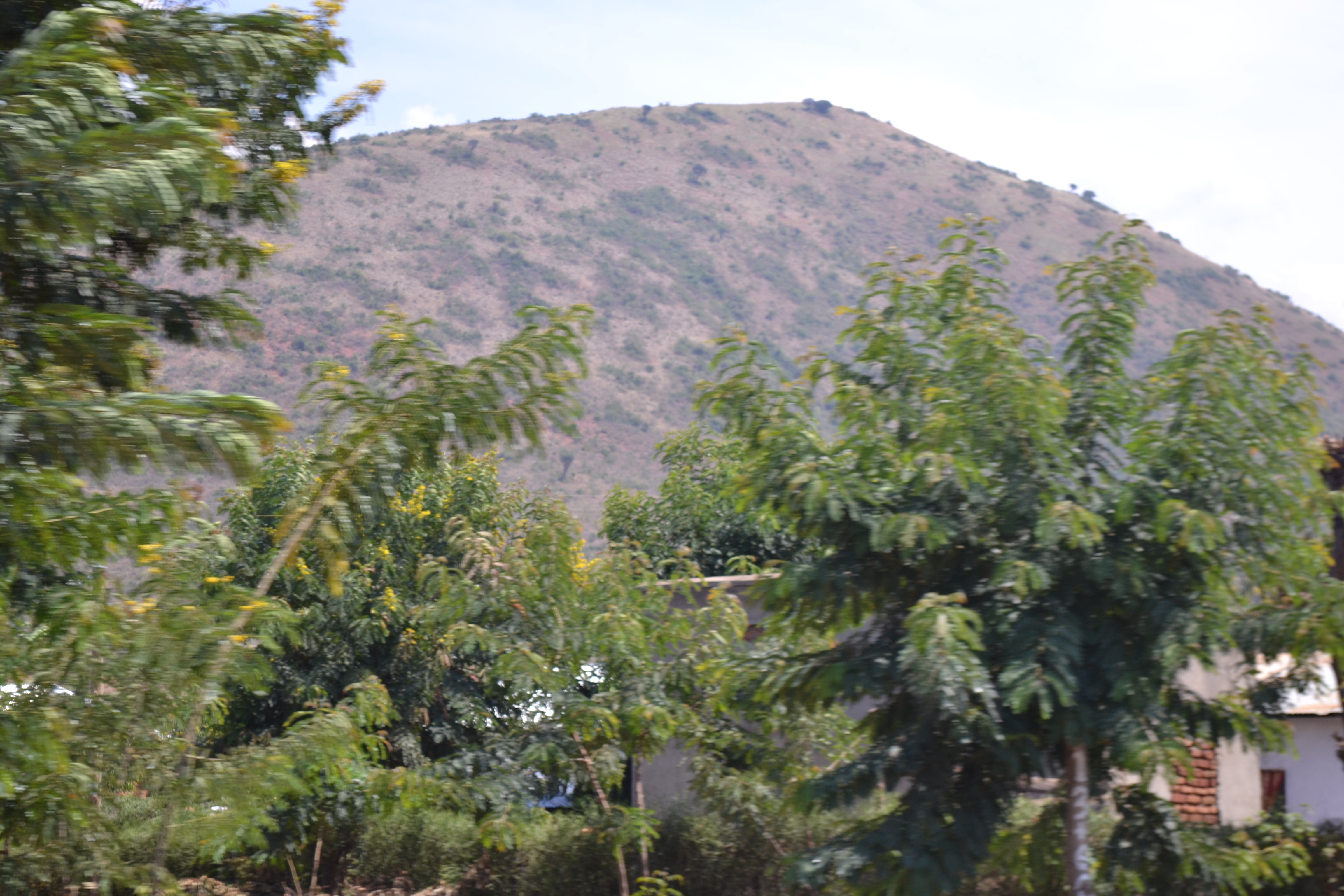 DSC_0006.JPG