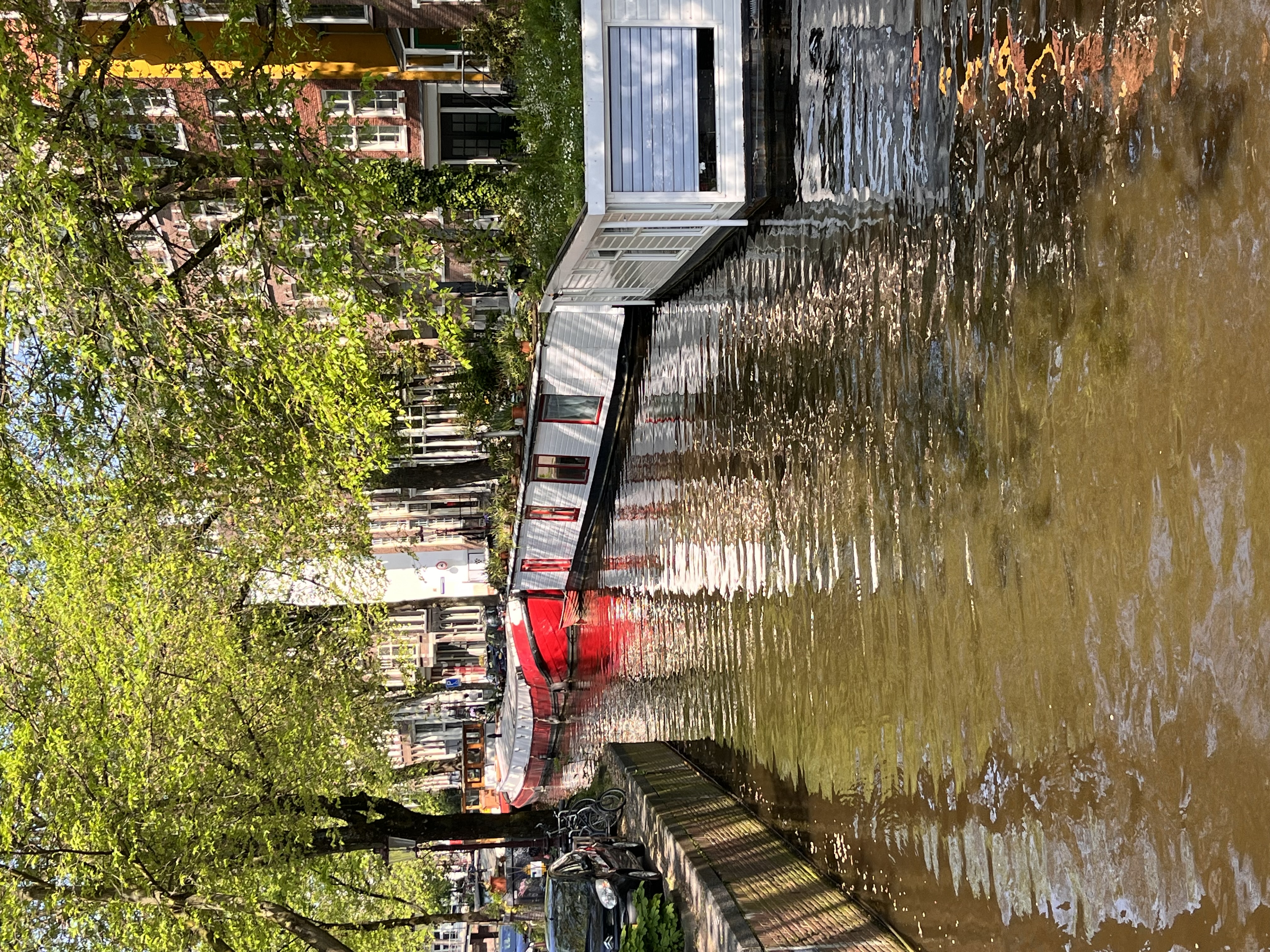 IMG_2353.jpeg