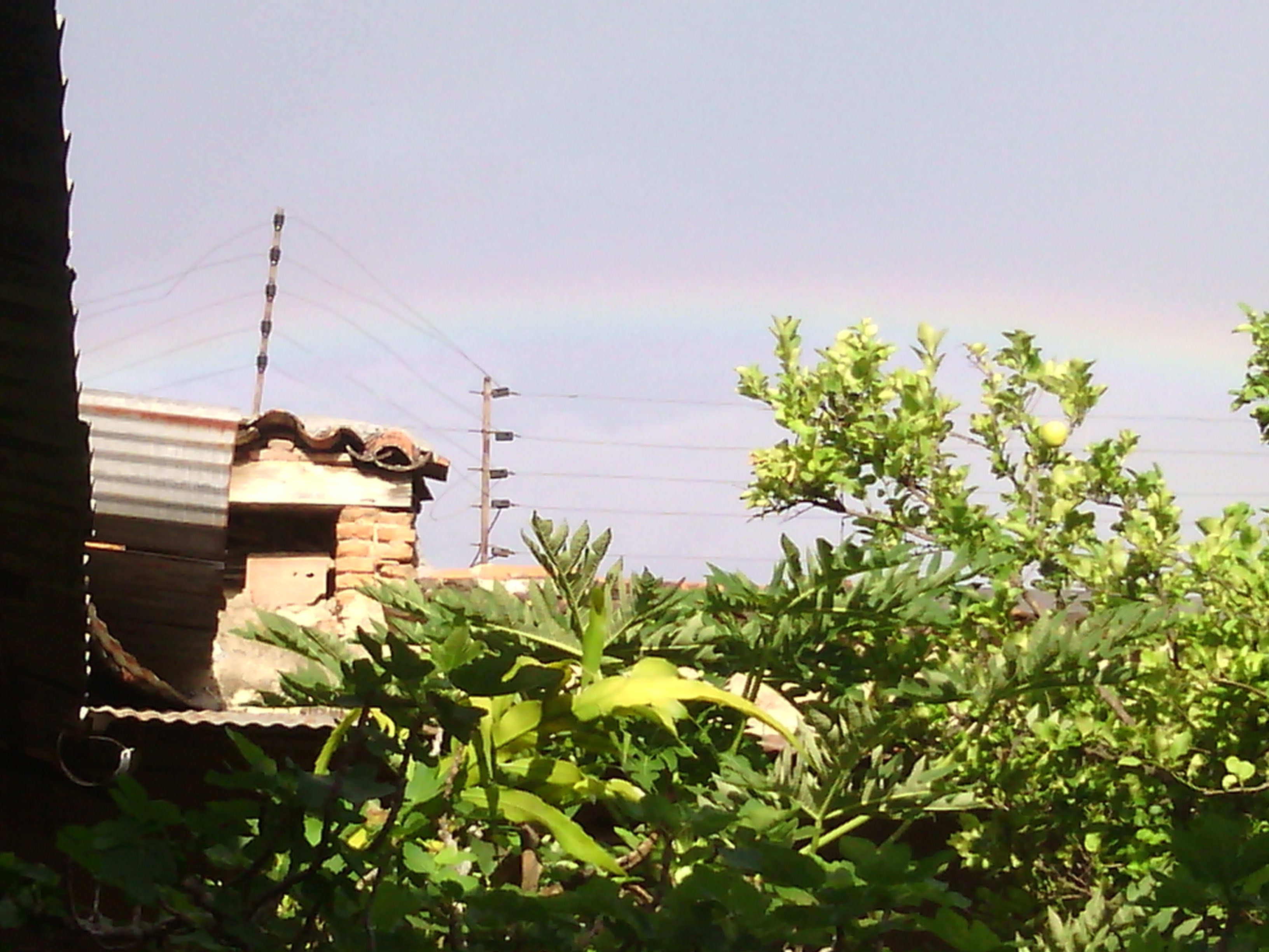 21 mayo 21 003.jpg