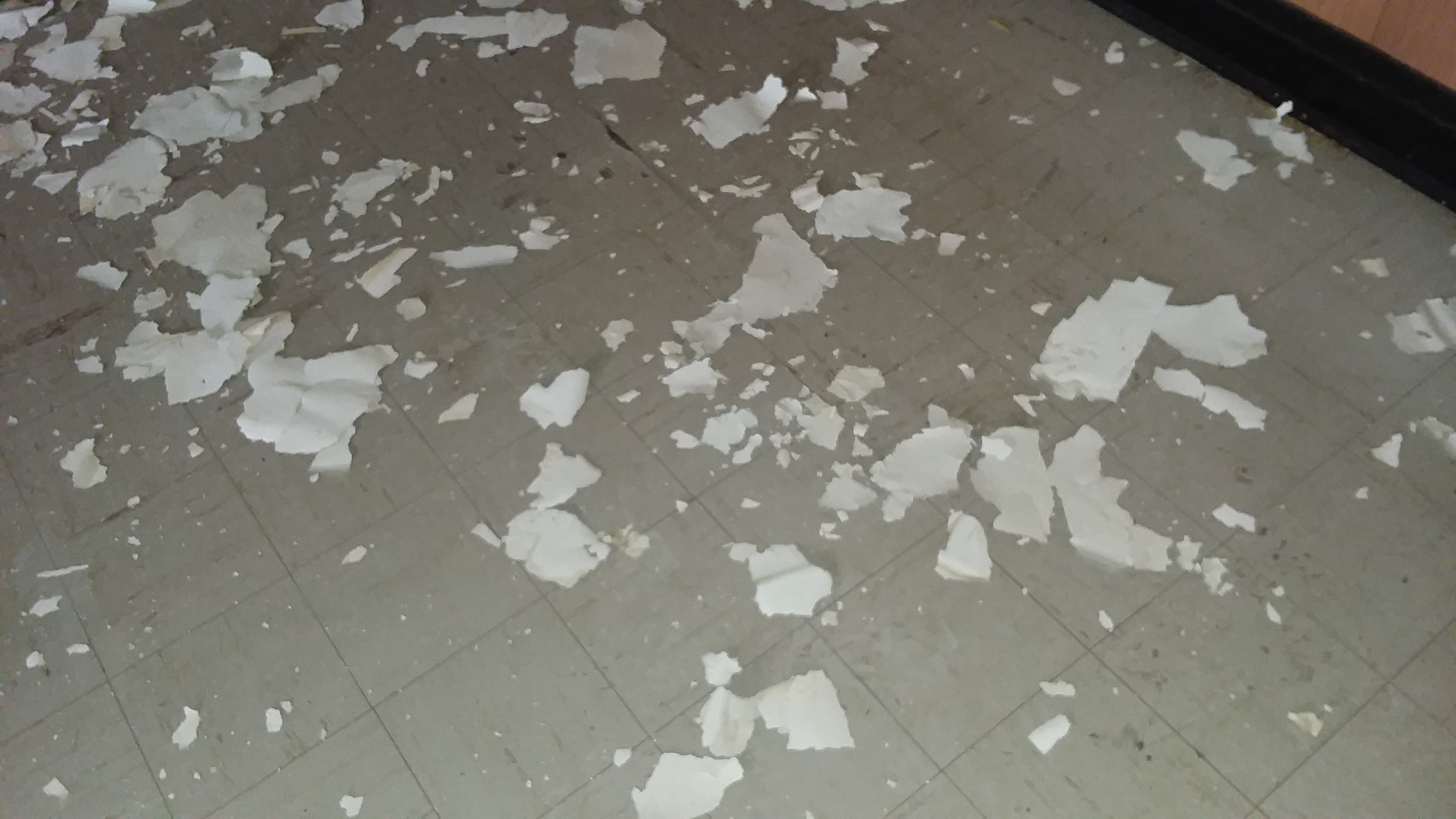 20190501_135145.jpg