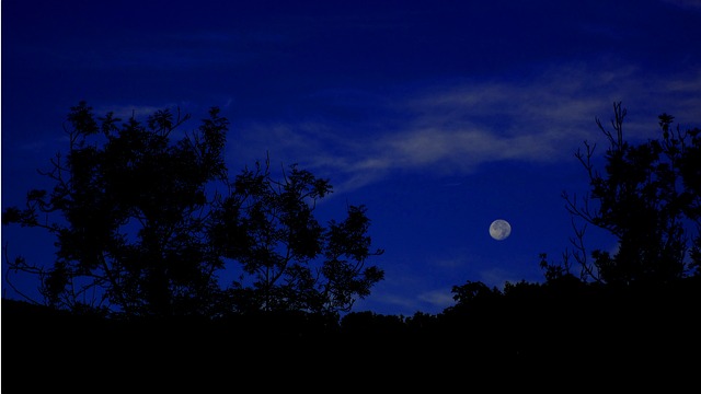full-moon-735509_640.jpg