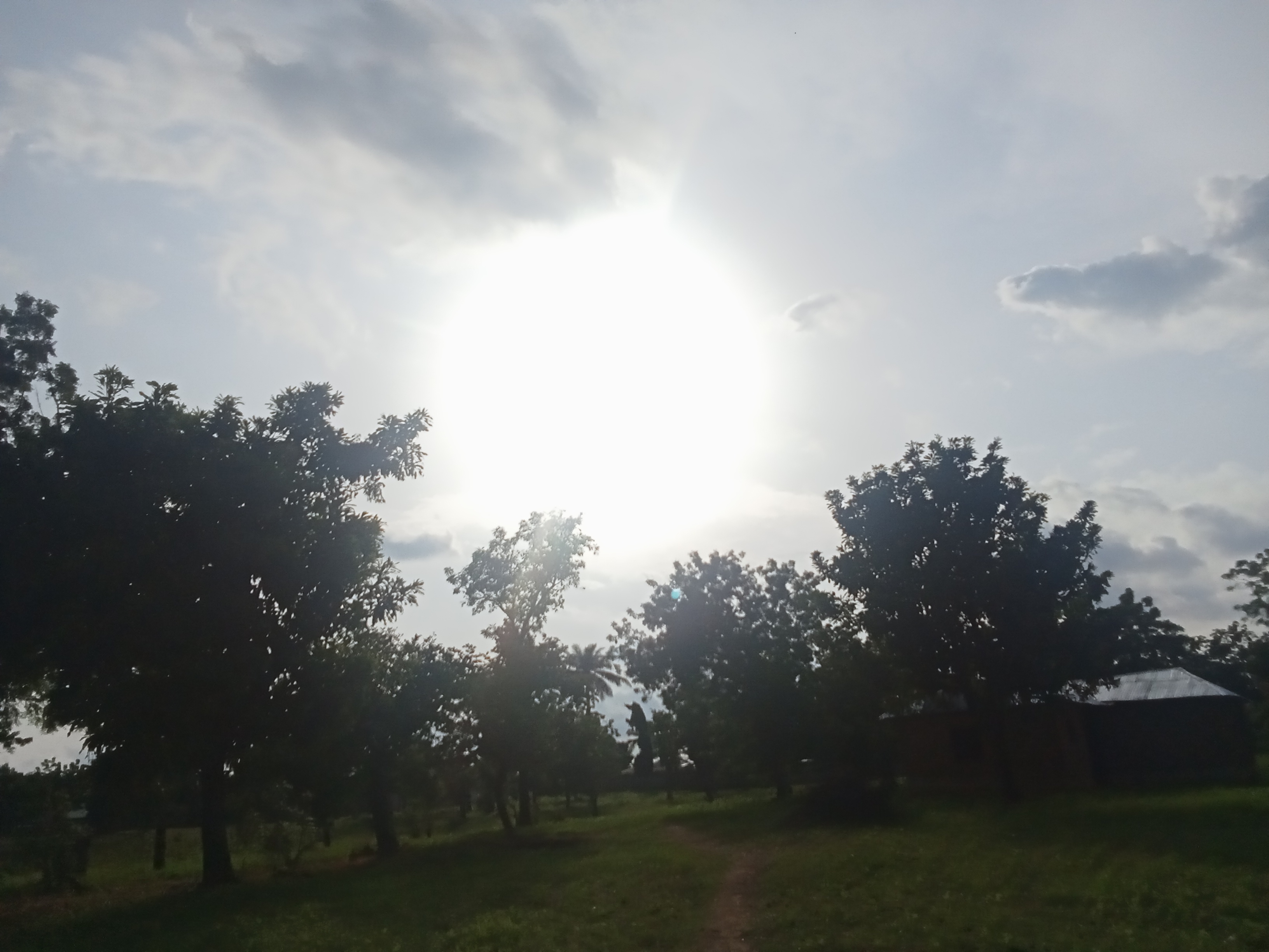 1000657344.jpg