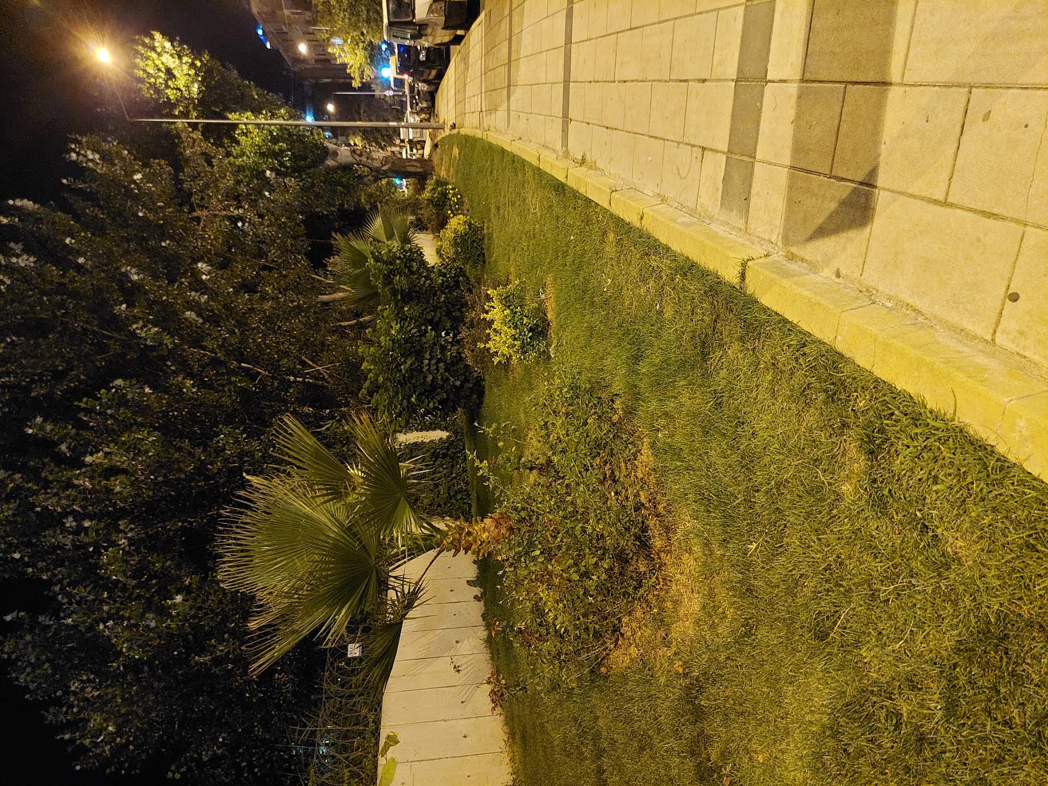 20210814_233827.jpg