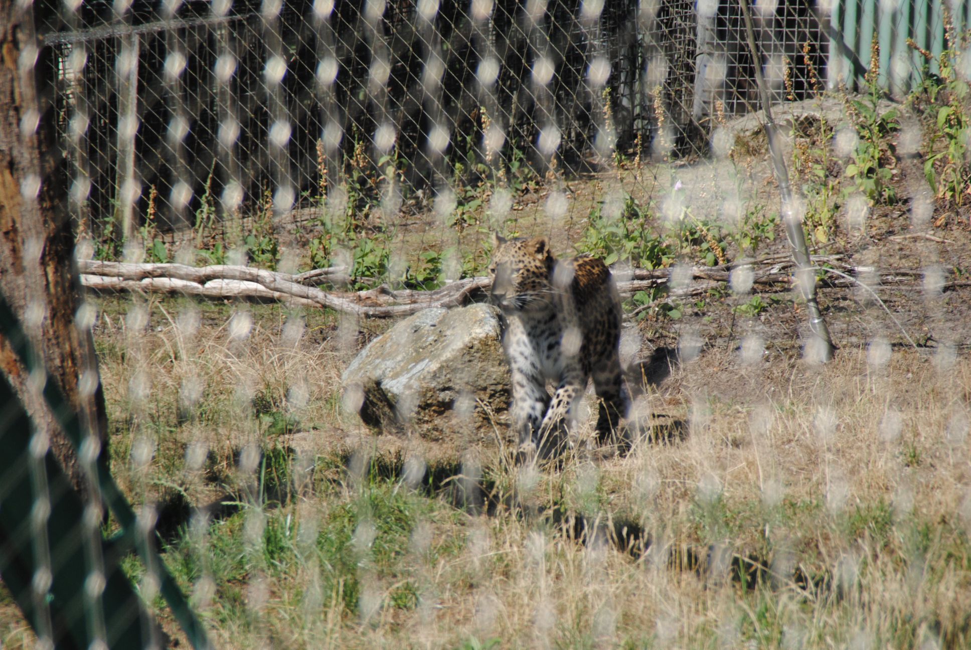 image016.jpg