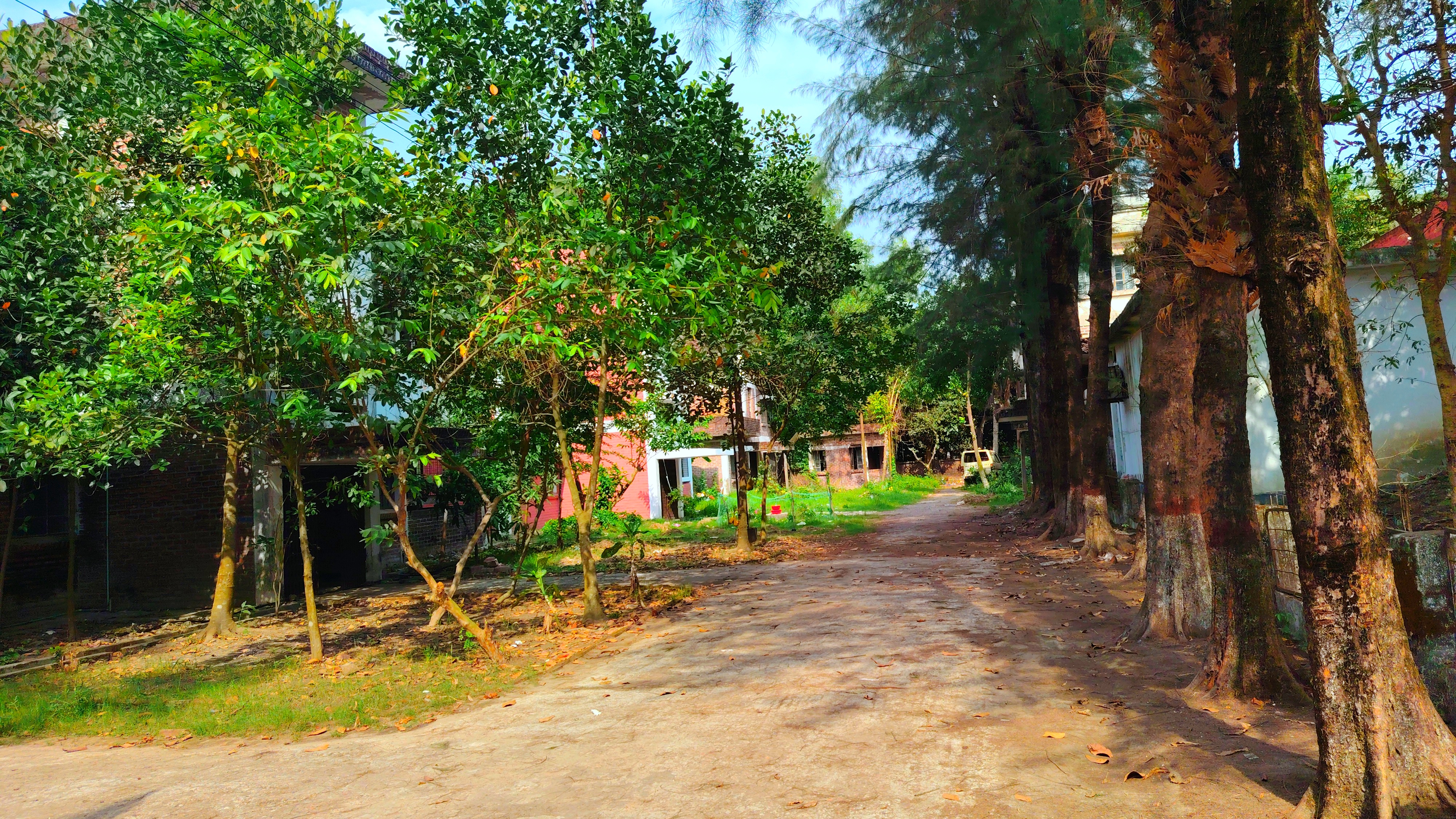 125570.jpg